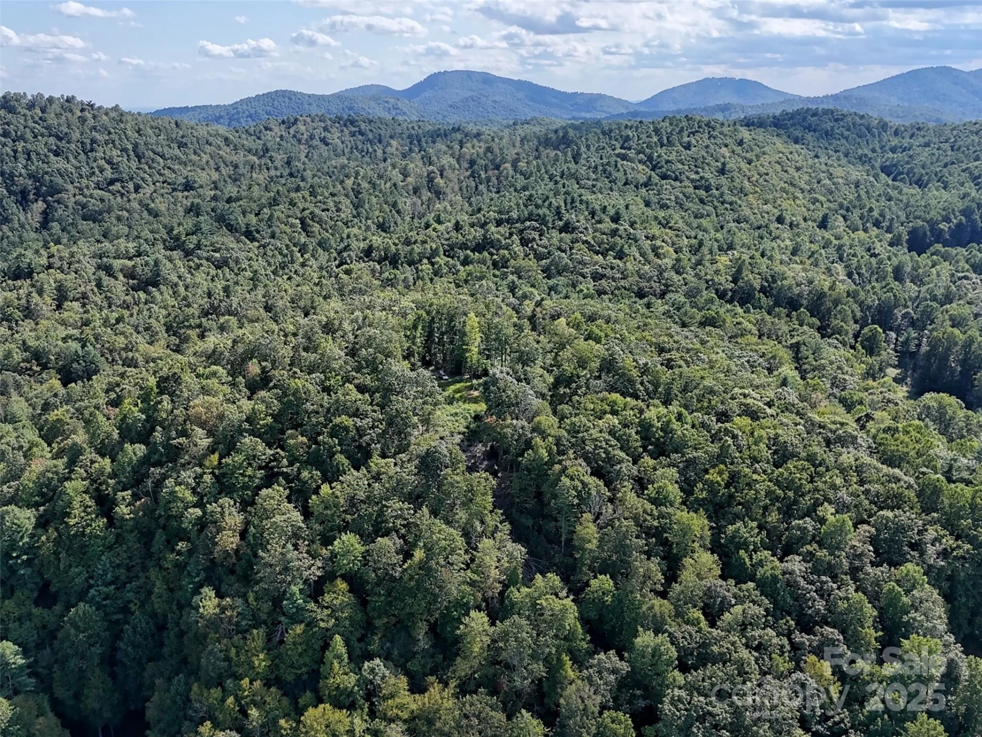 00 Bell Mountain Road - Photo 4