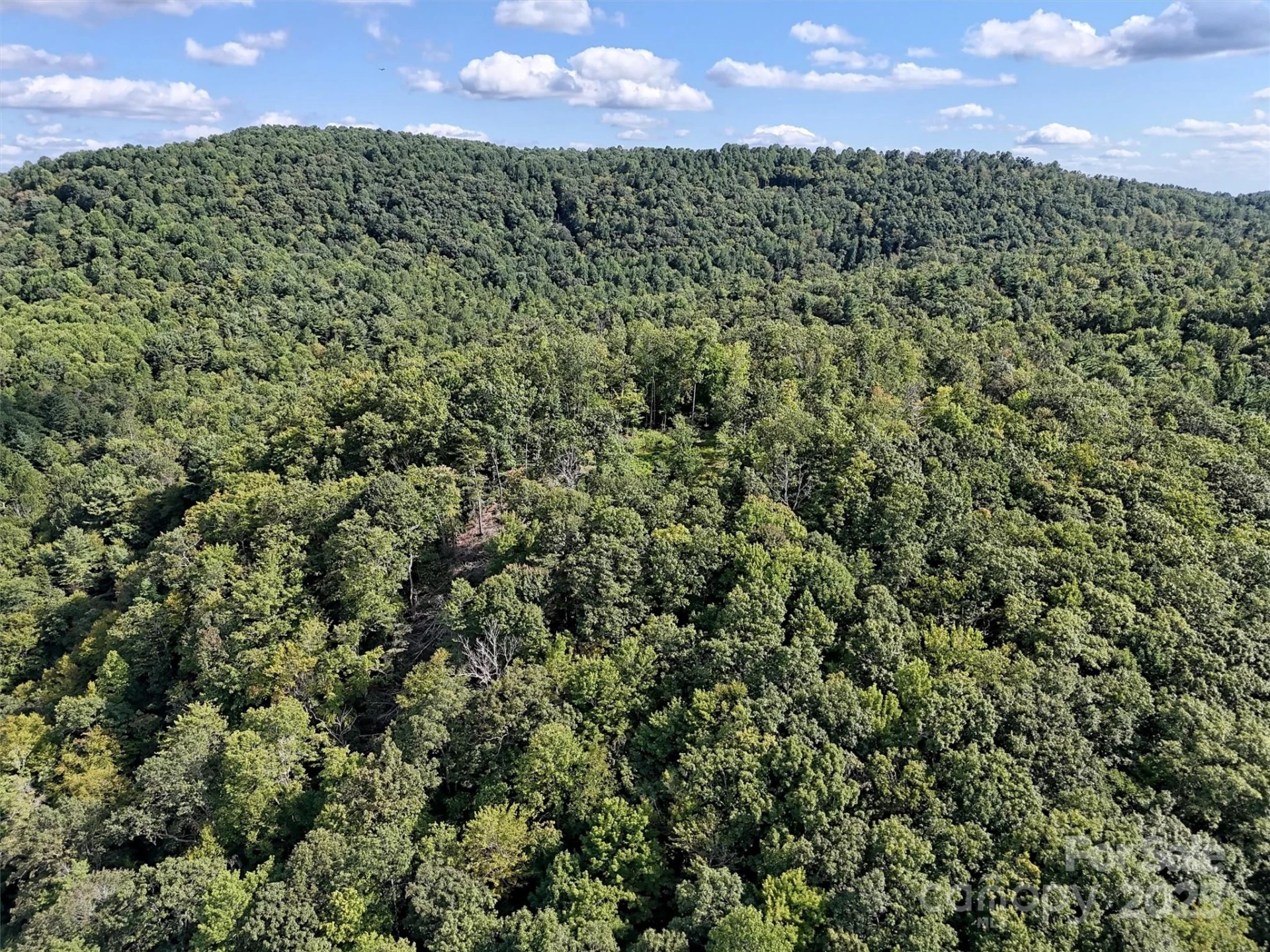 00 Bell Mountain Road - Photo 10