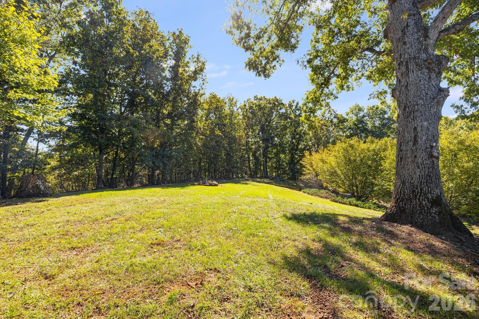 1387 Woods Ammons Road - Photo 39
