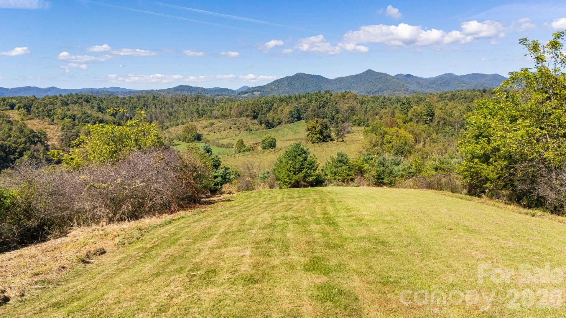 1387 Woods Ammons Road - Photo 47