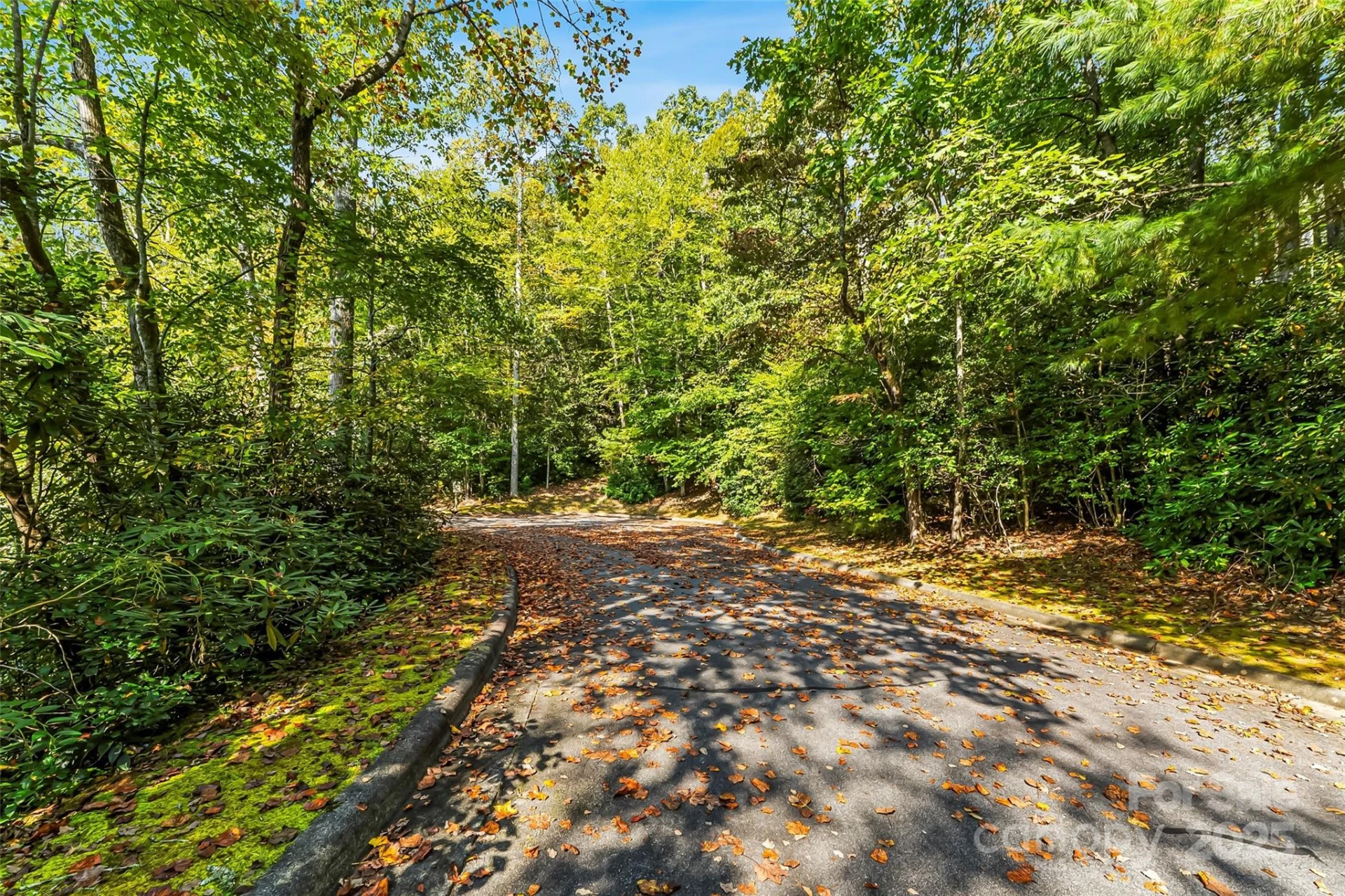 L12R Trailside Court - Photo 3