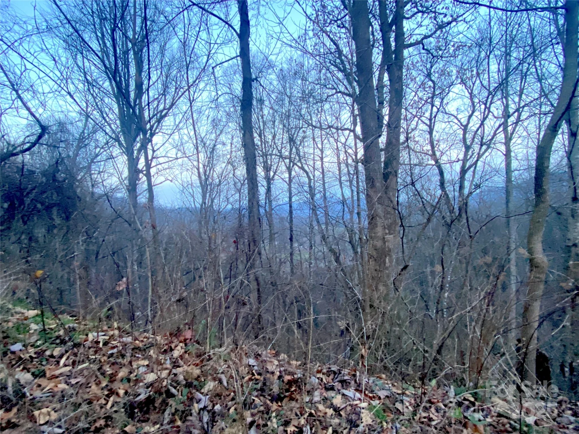 0 Asa Trail - Photo 4