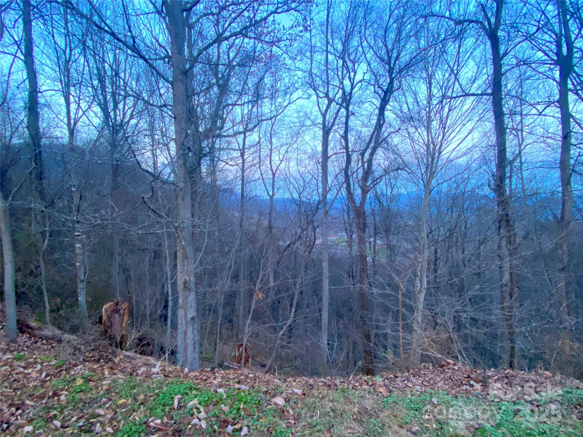0 Asa Trail - Photo 7