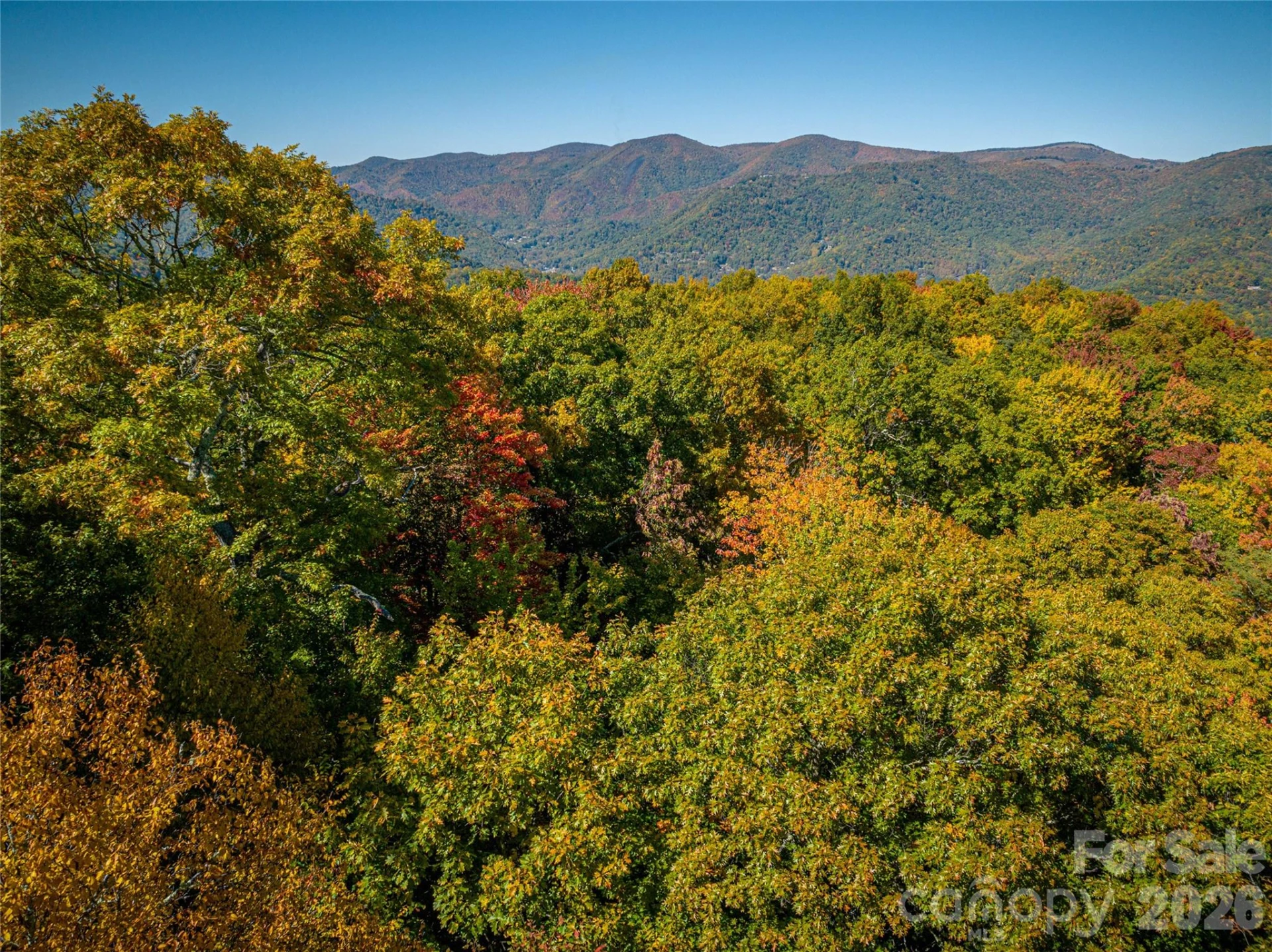 205 Chickadee Lane #205 - Photo 6