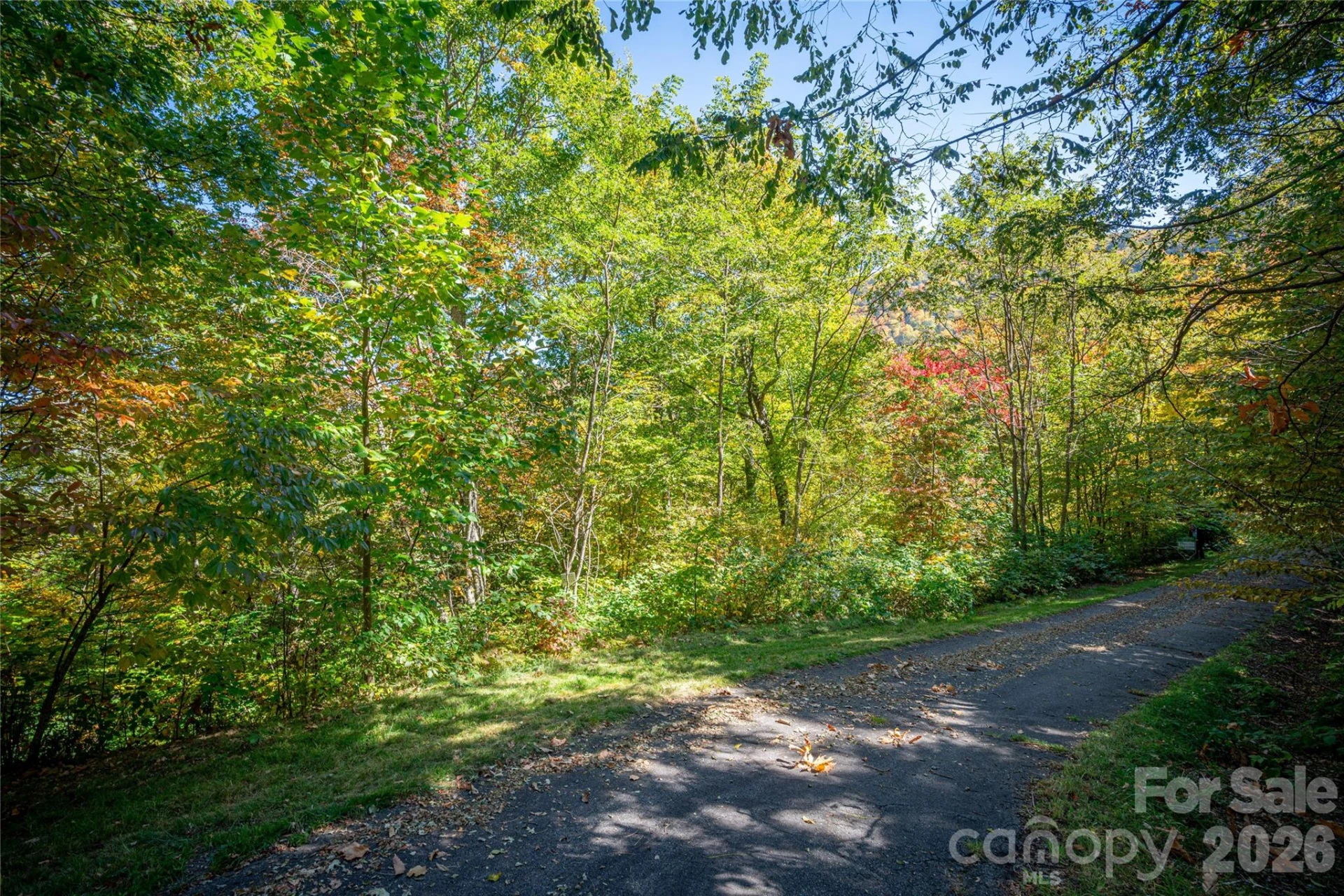 205 Chickadee Lane #205 - Photo 10