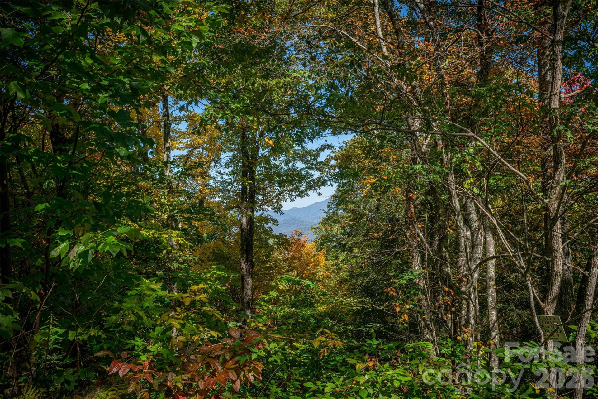 205 Chickadee Lane #205 - Photo 11