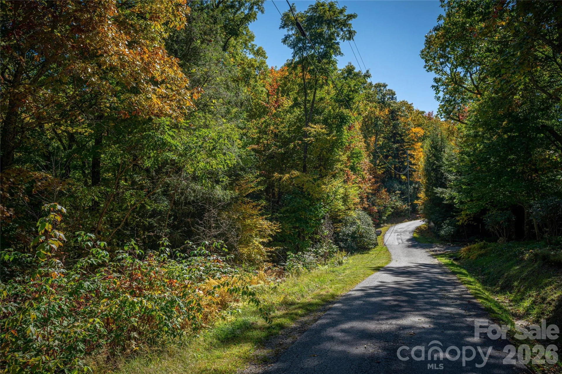 205 Chickadee Lane #205 - Photo 12