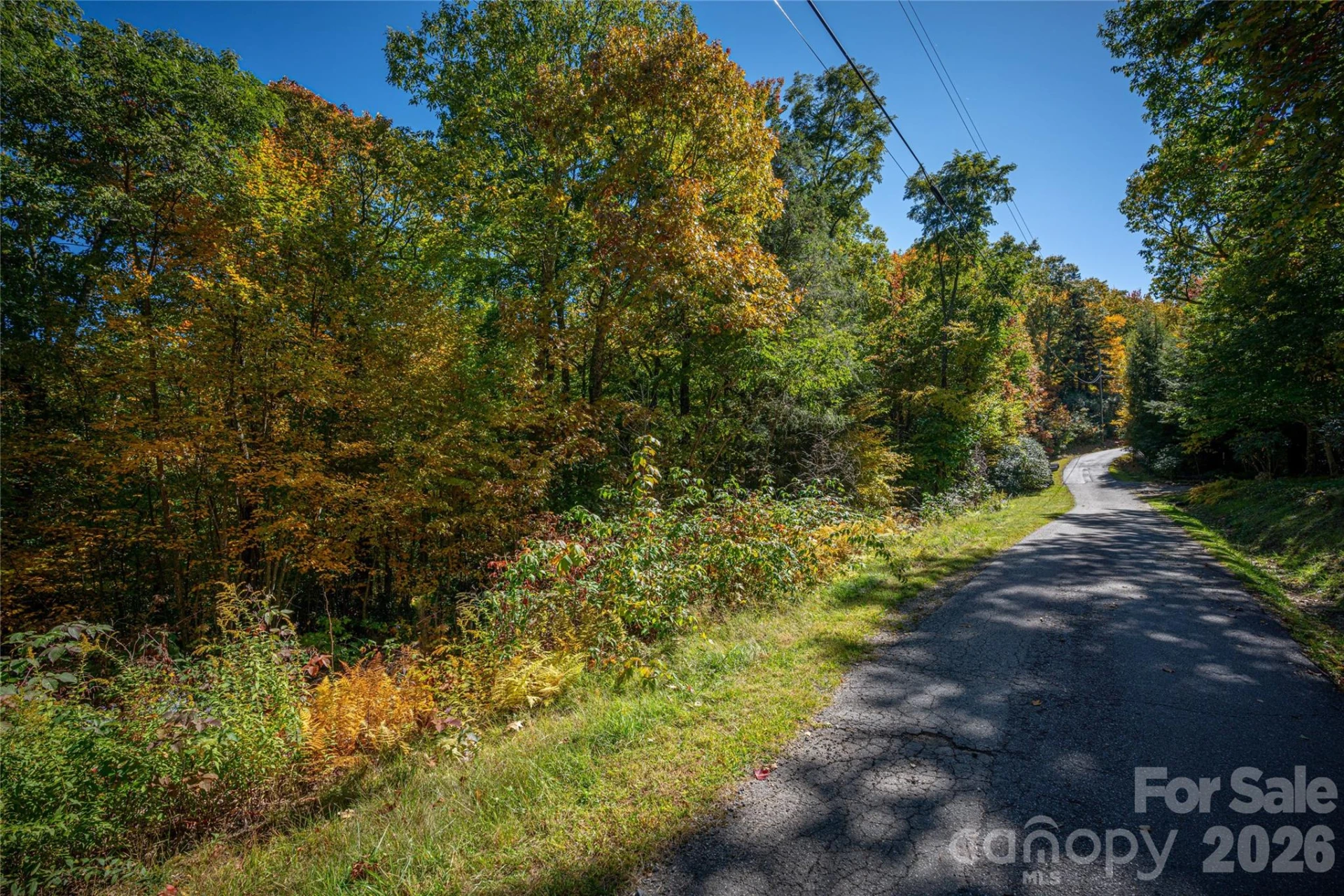 205 Chickadee Lane #205 - Photo 13
