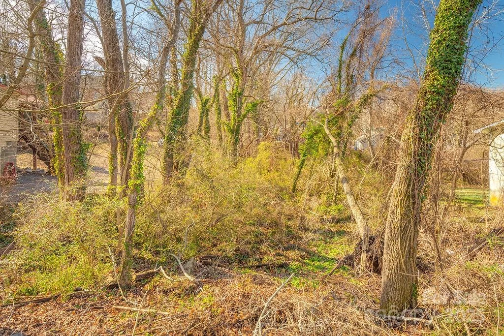 99999 Millbrook Road - Photo 6