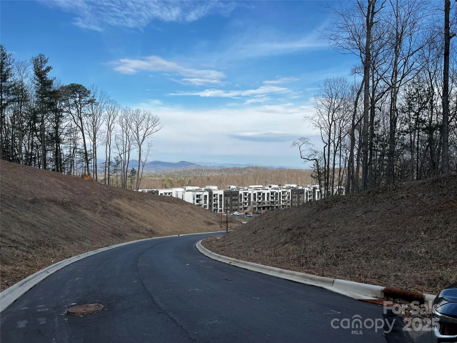105 Woodland Meadows Drive #Tract A & B - Photo 2
