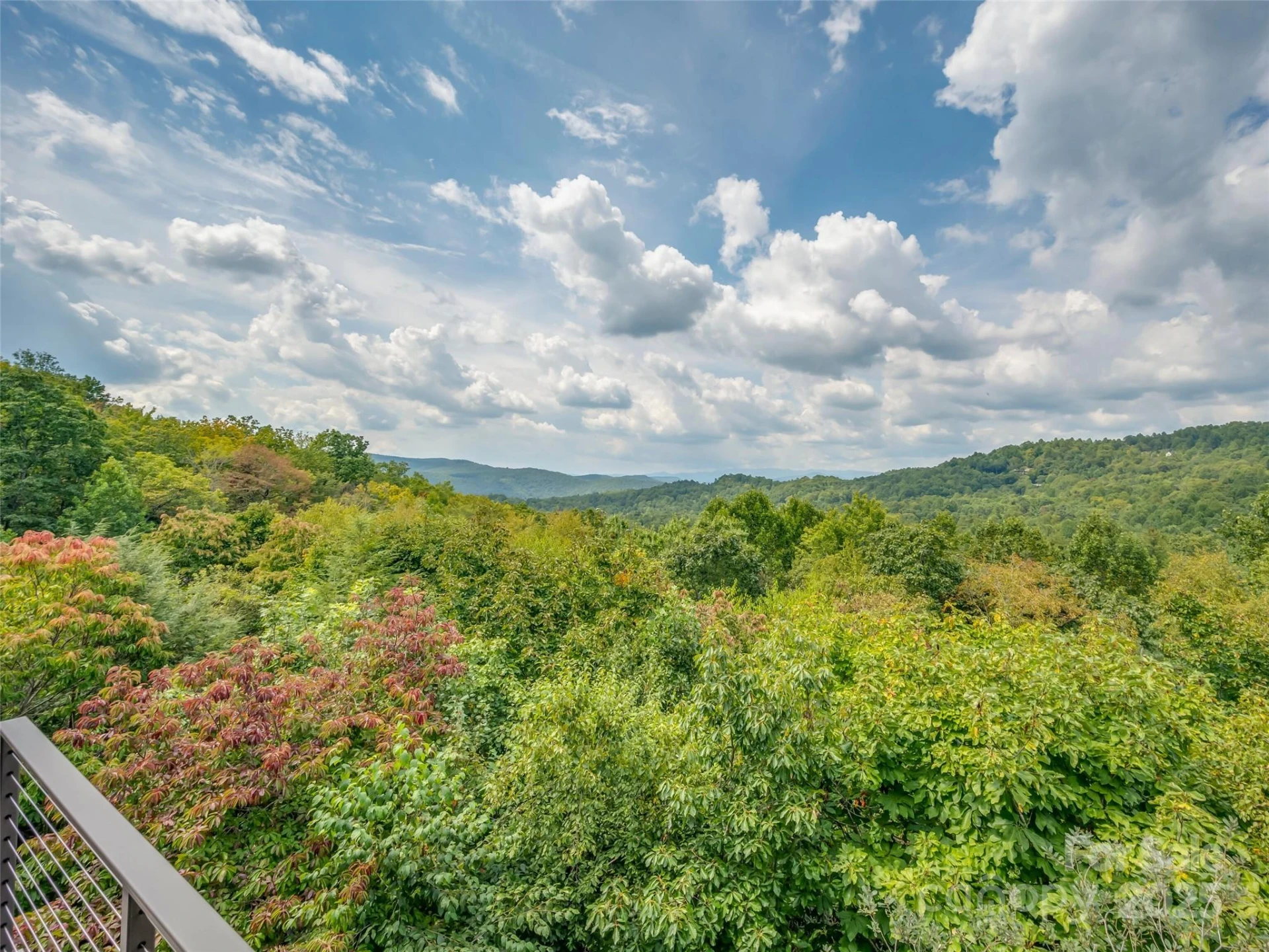 18 Wild Ivy Run - Photo 18