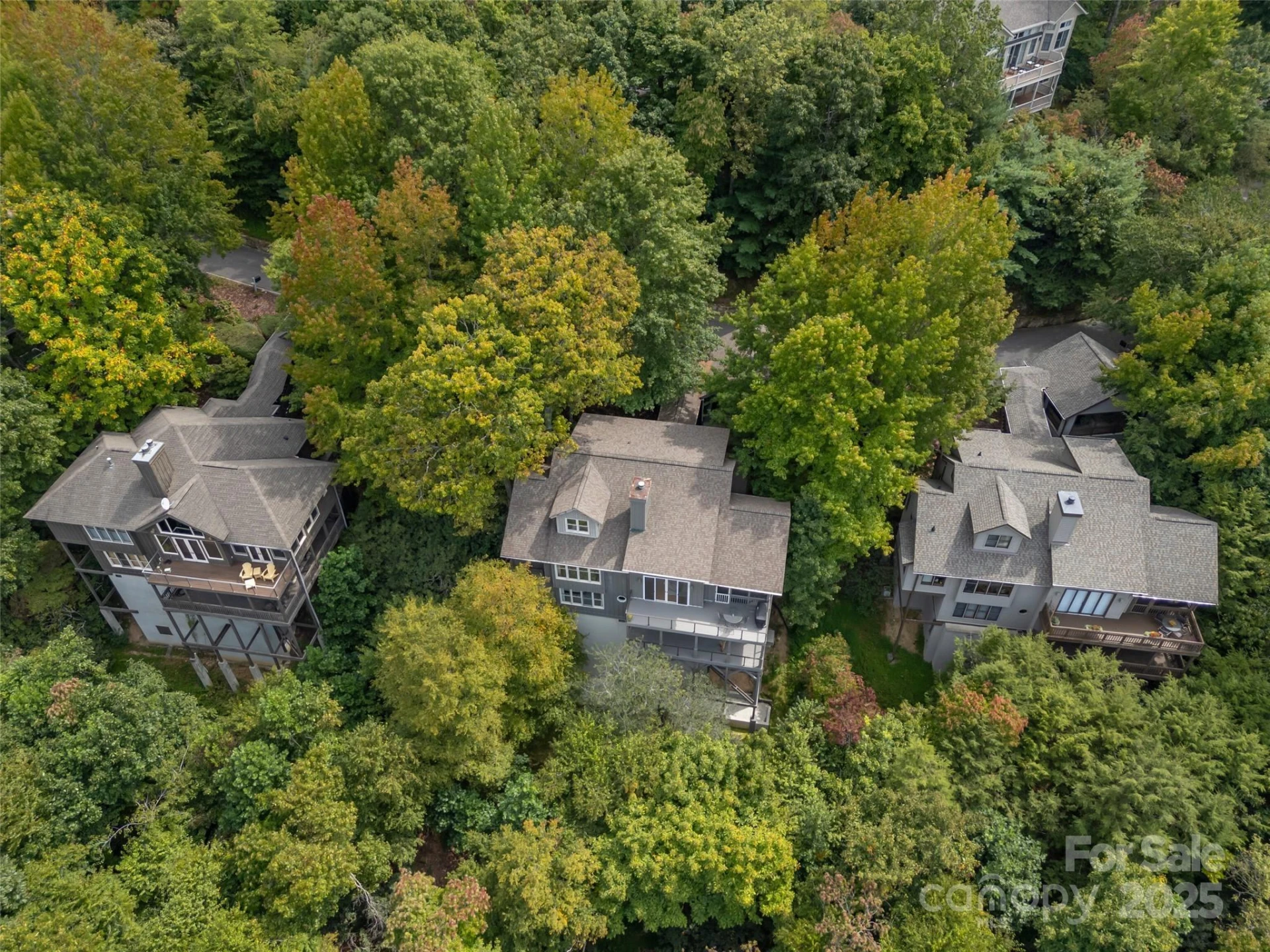 18 Wild Ivy Run - Photo 43