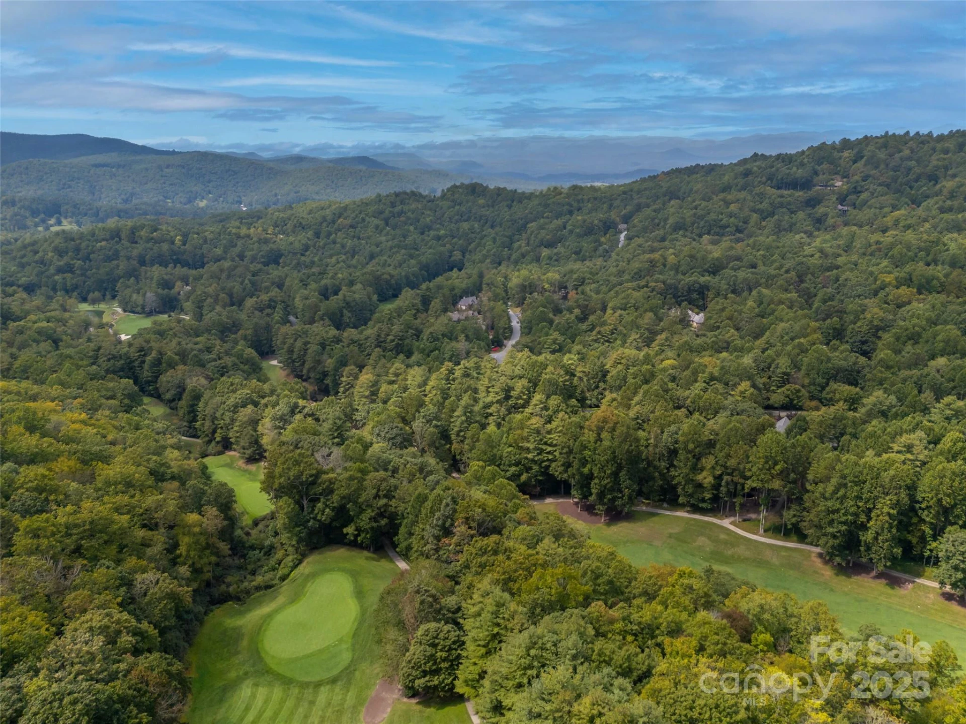 18 Wild Ivy Run - Photo 44