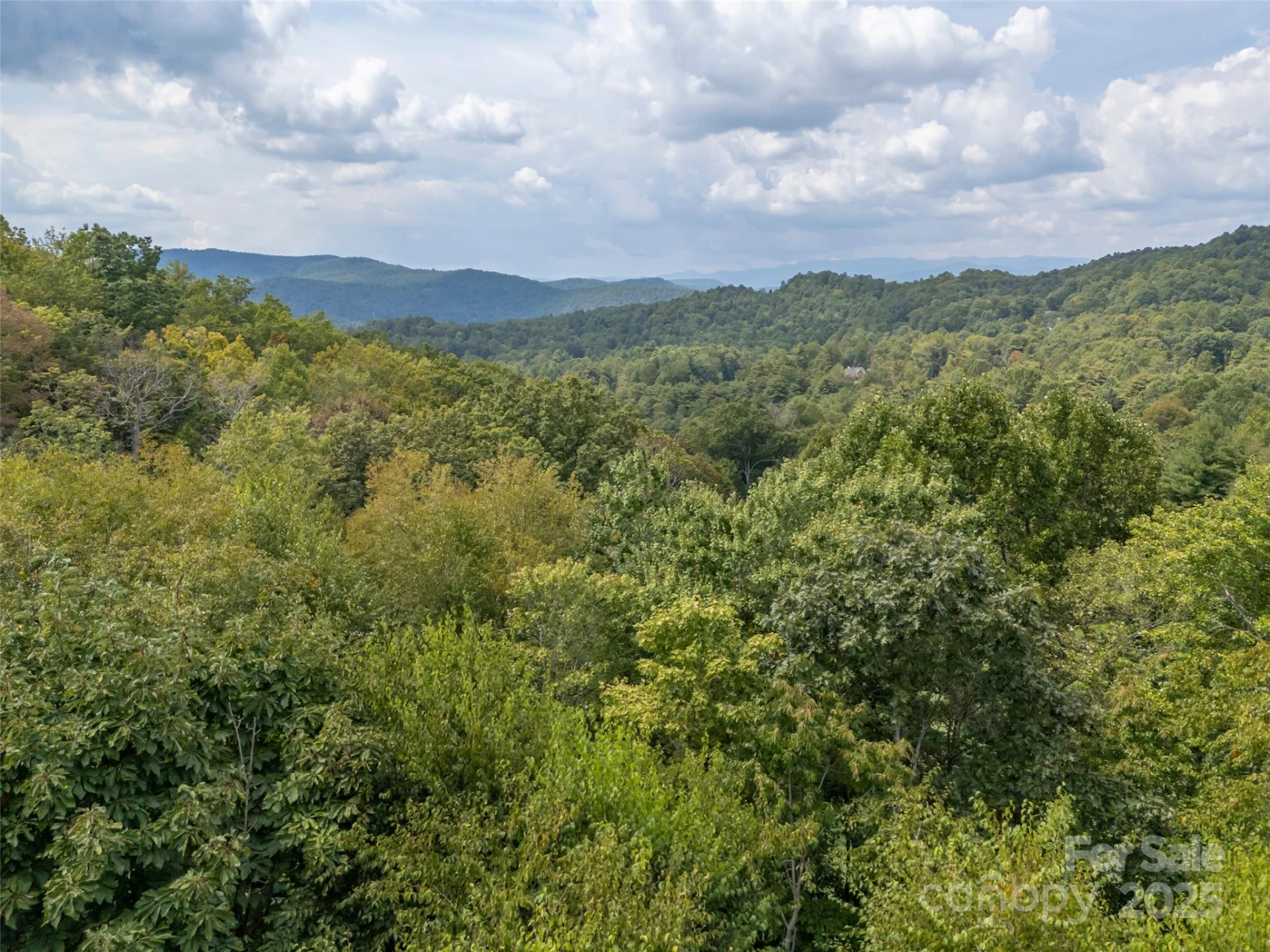 18 Wild Ivy Run - Photo 45