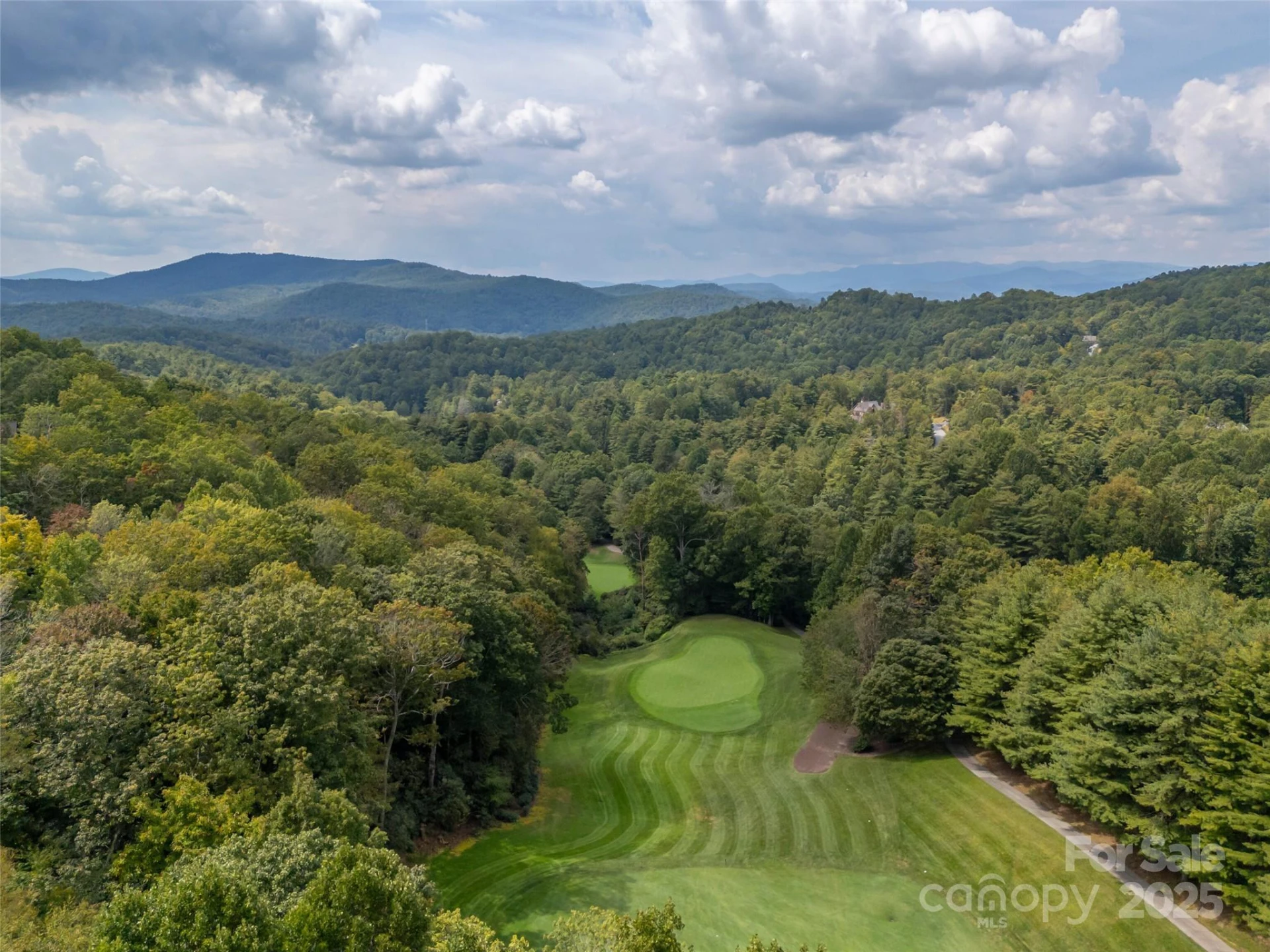 18 Wild Ivy Run - Photo 46