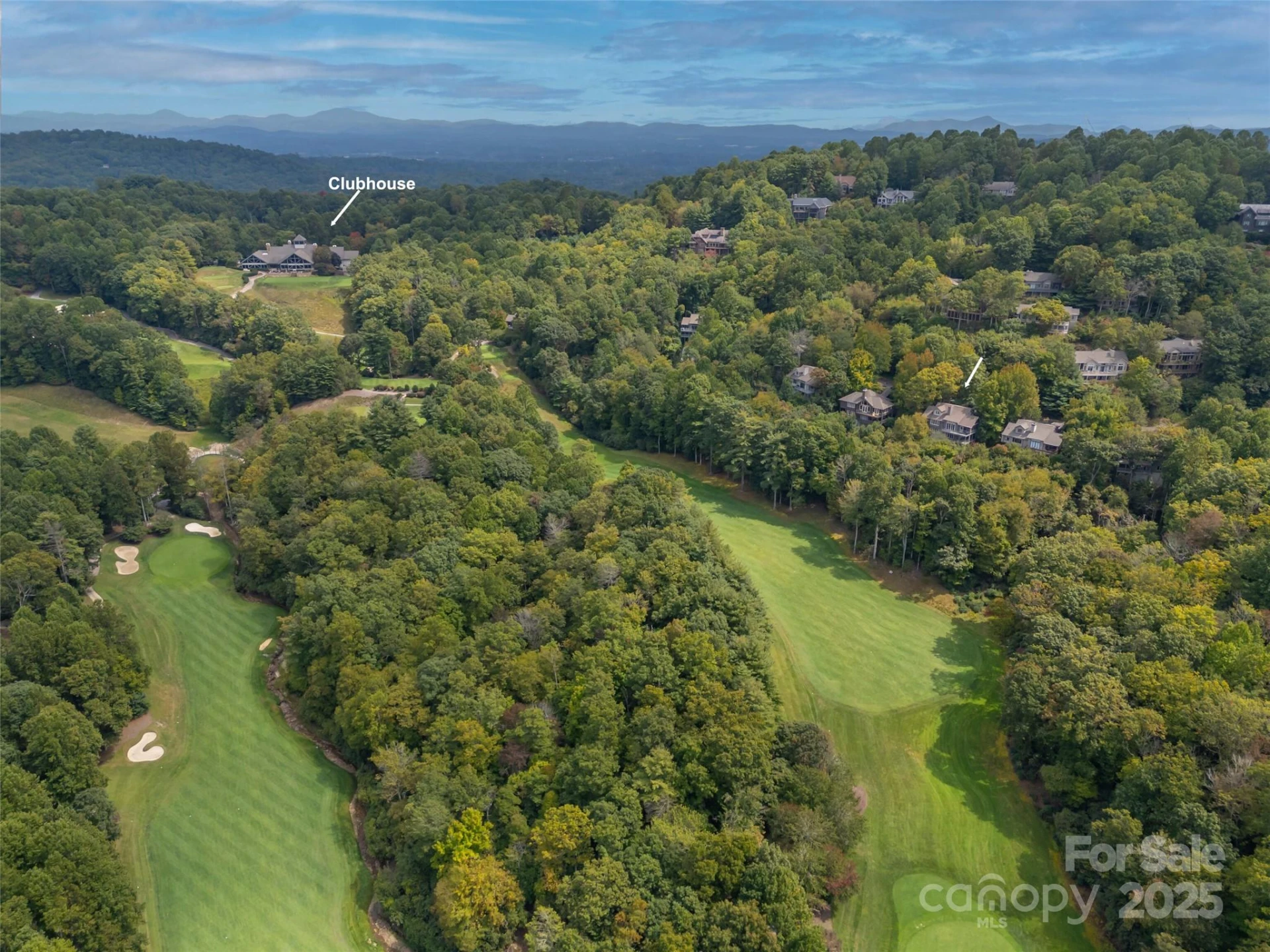 18 Wild Ivy Run - Photo 47