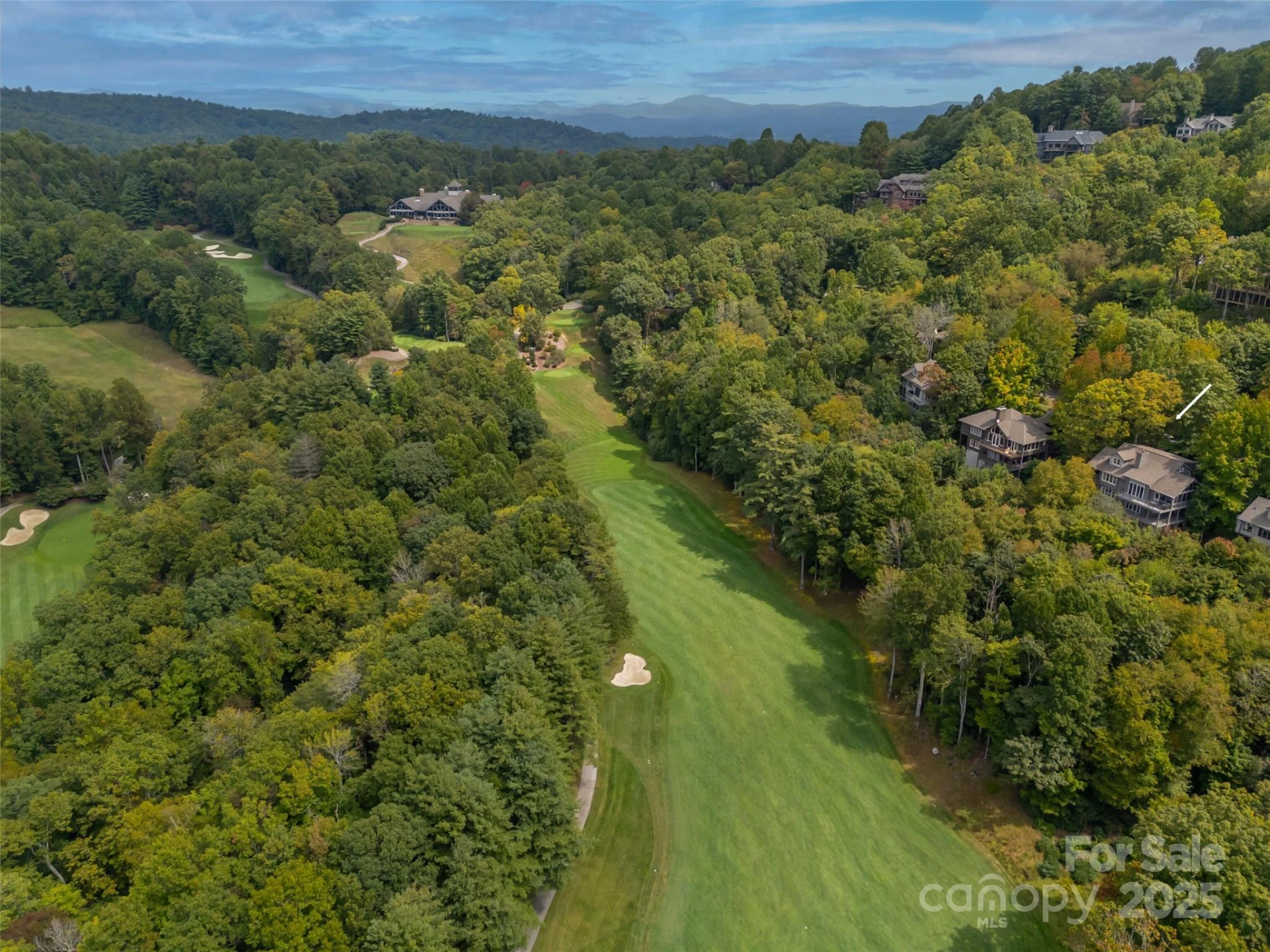 18 Wild Ivy Run - Photo 48