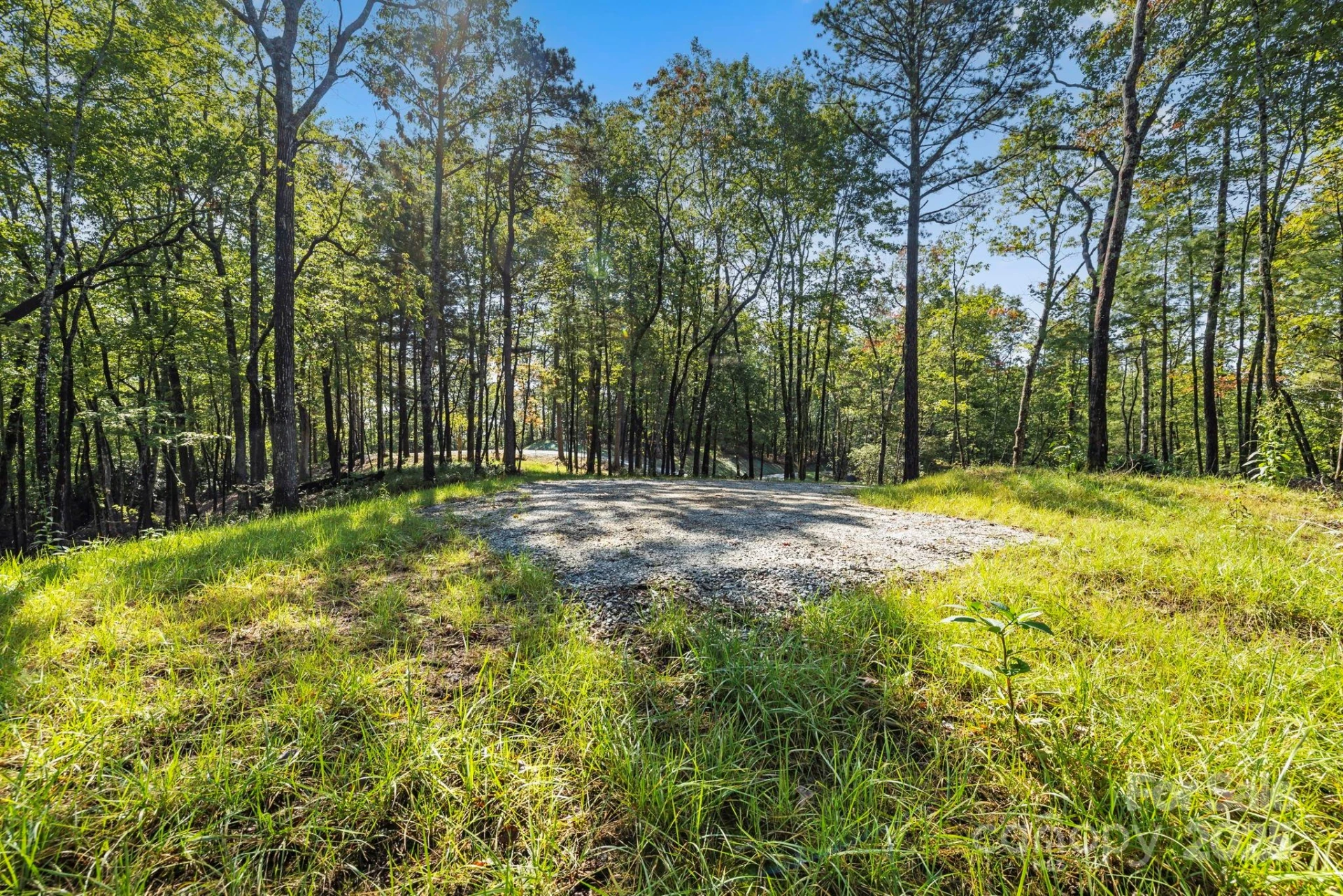 11763 Rosman Highway - Photo 15