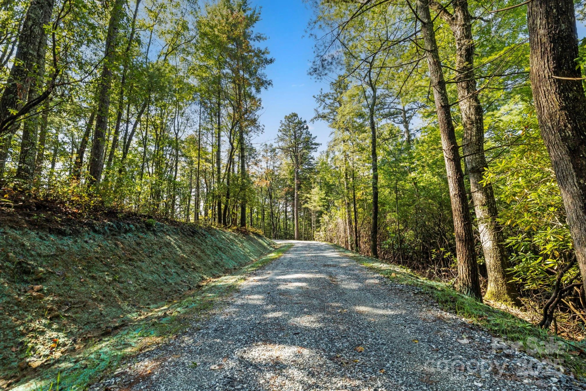 11763 Rosman Highway - Photo 25