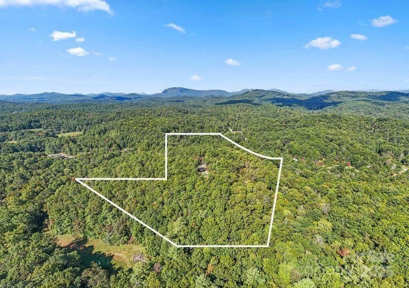 11763 Rosman Highway - Photo 31