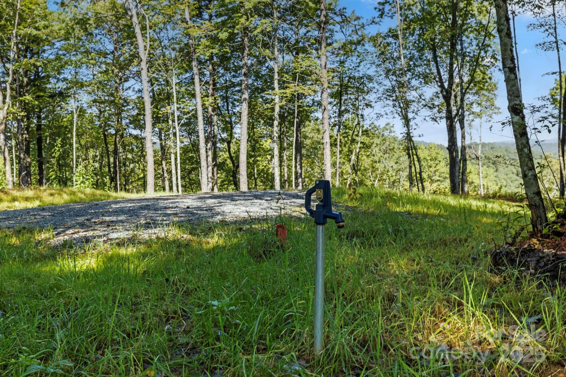 11763 Rosman Highway - Photo 6