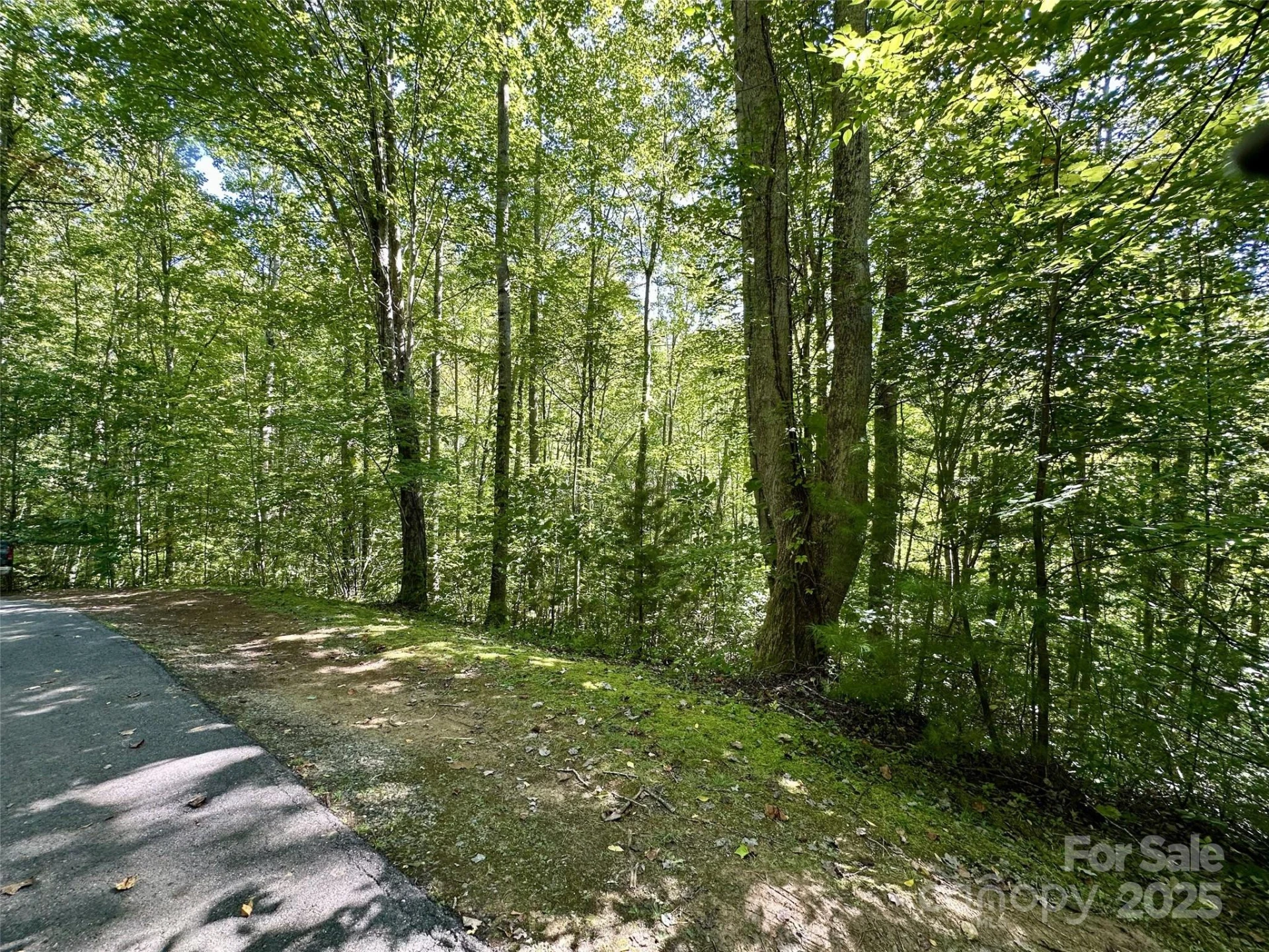 00 Loblolly Way #C11 - Photo 3