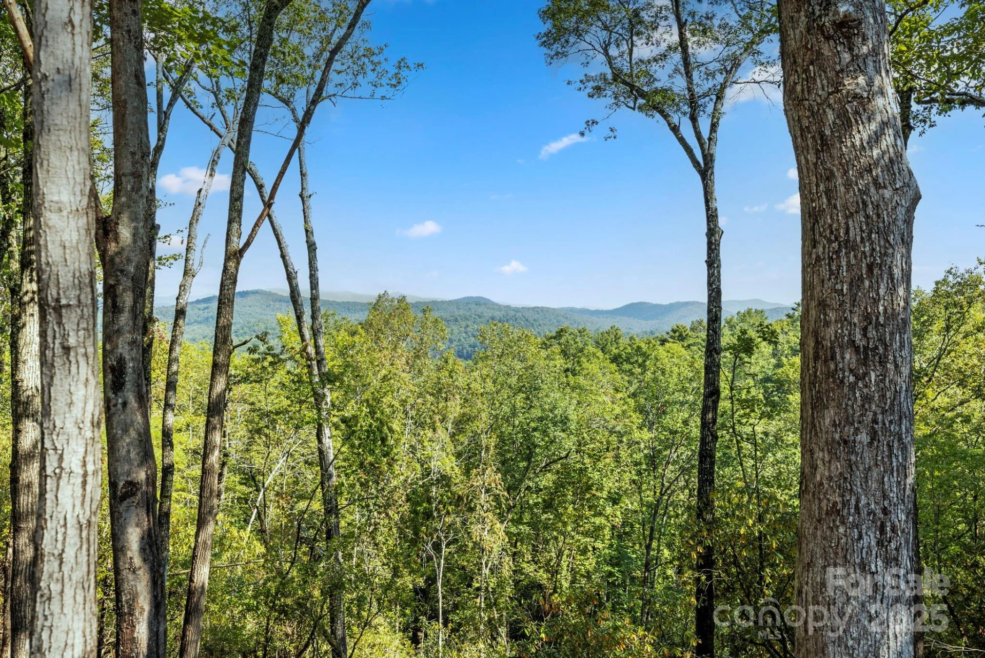 11763 Rosman Highway - Photo 11