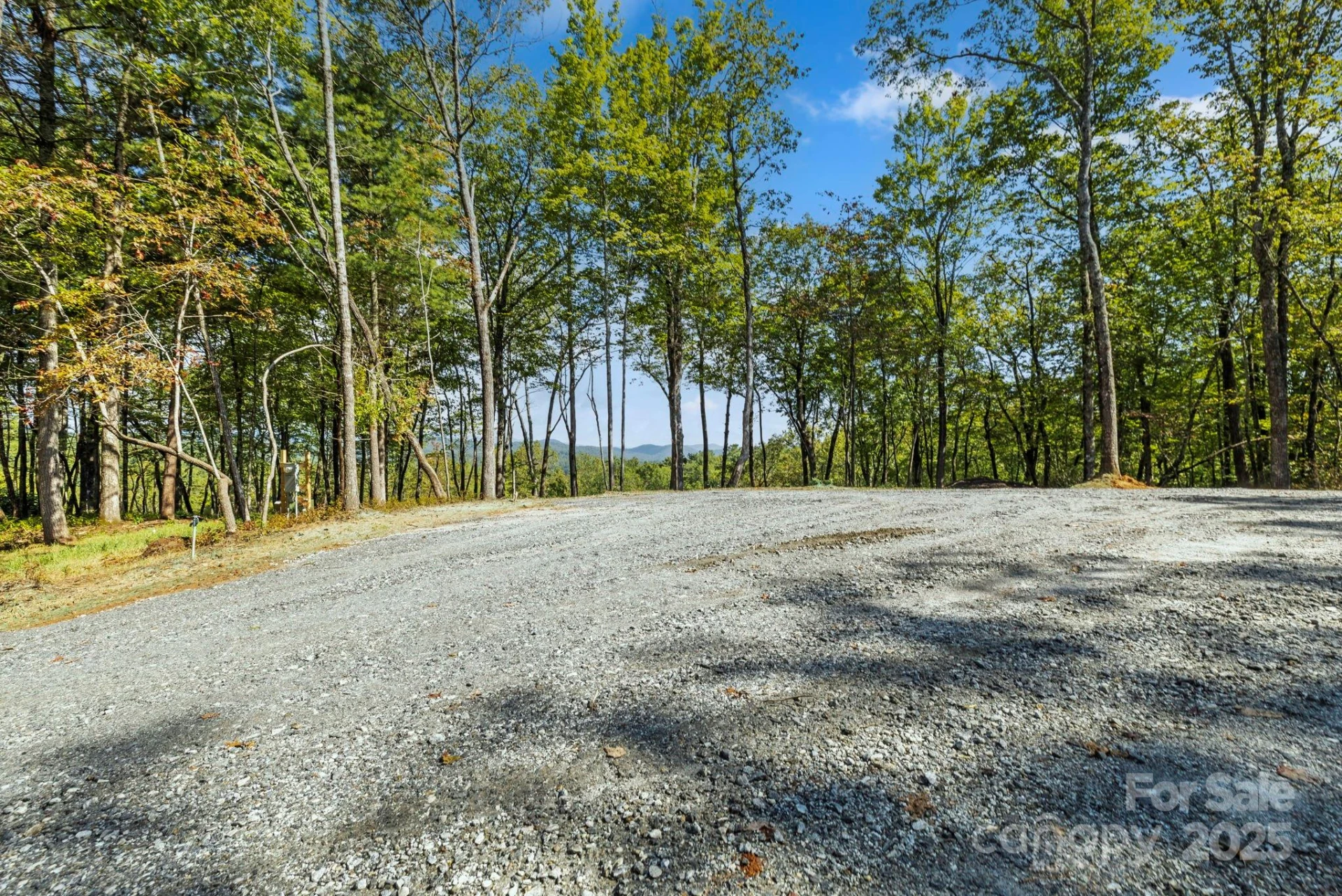 11763 Rosman Highway - Photo 12