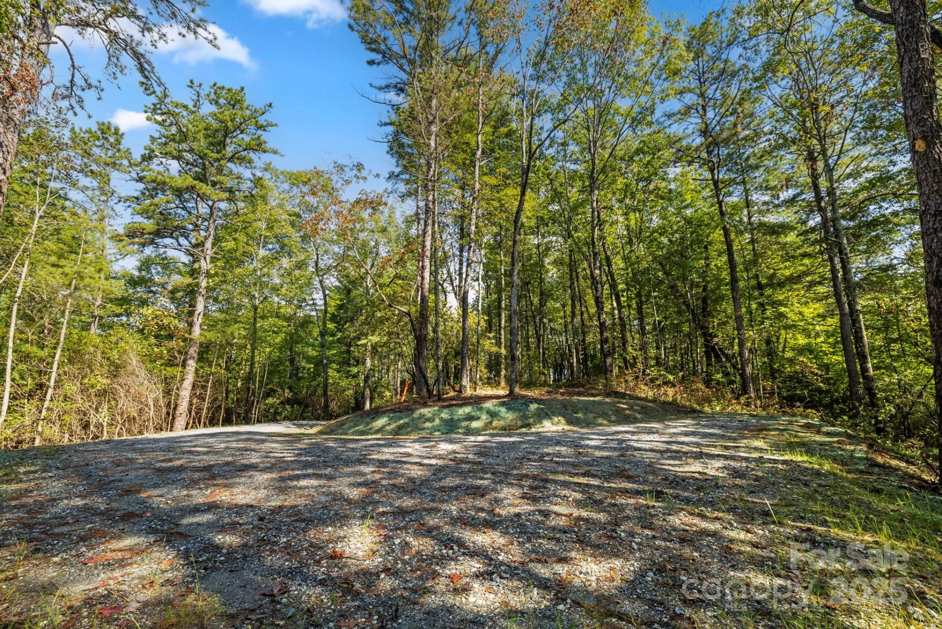 11763 Rosman Highway - Photo 18