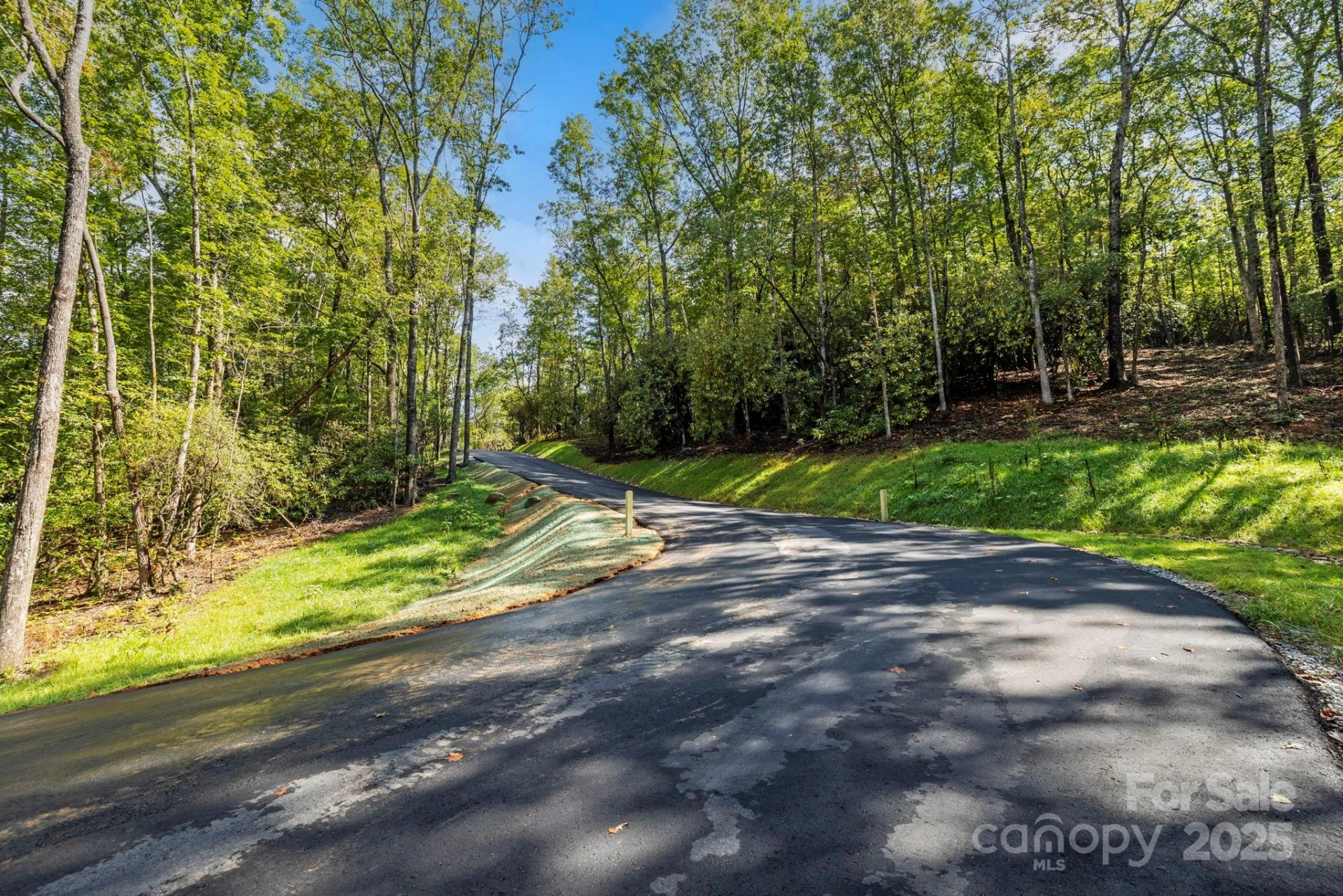 11763 Rosman Highway - Photo 3