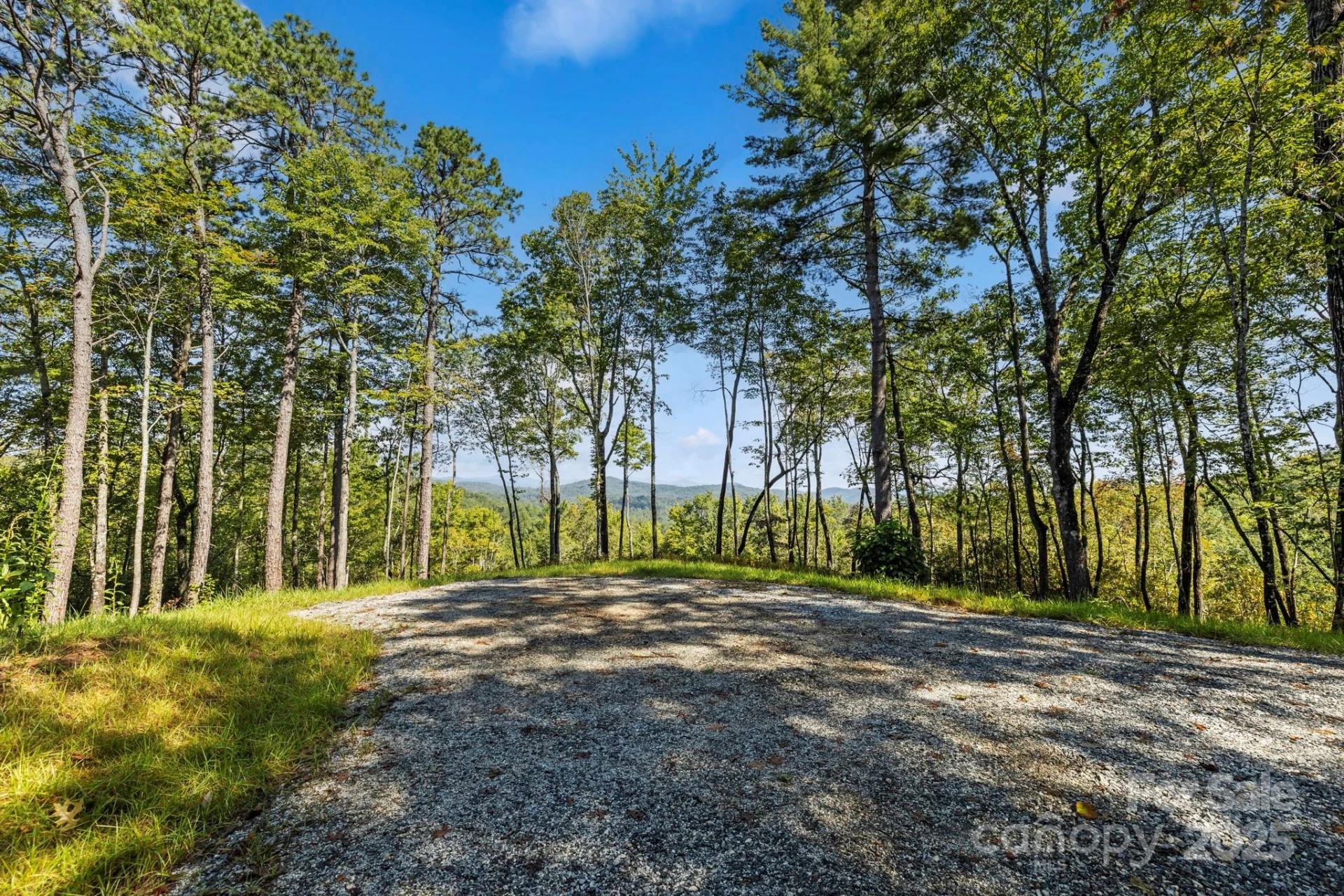 11763 Rosman Highway - Photo 4
