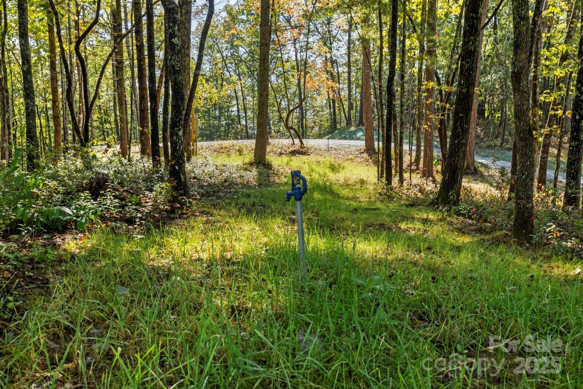 11763 Rosman Highway - Photo 8