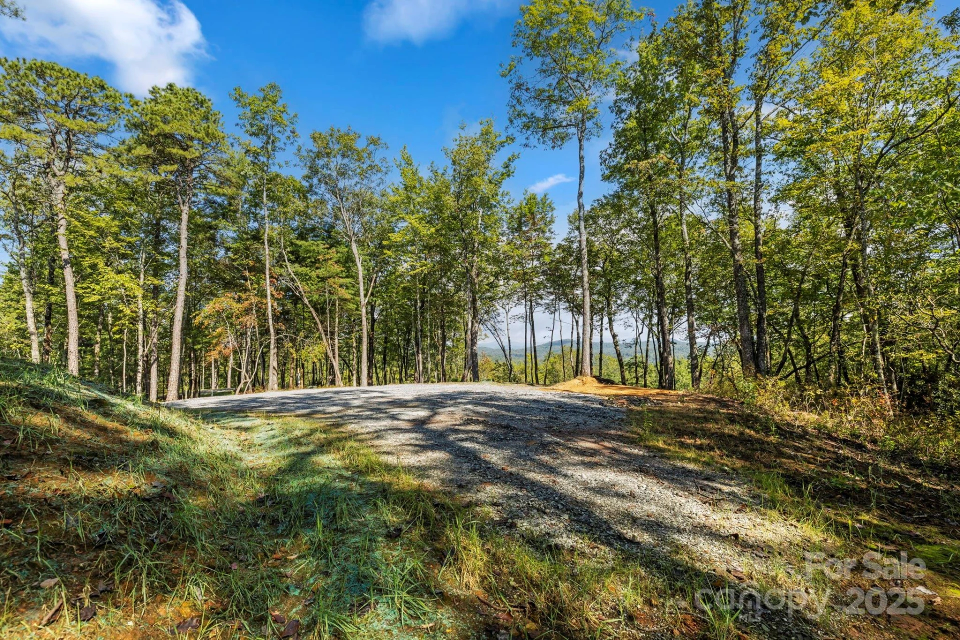 11763 Rosman Highway - Photo 10