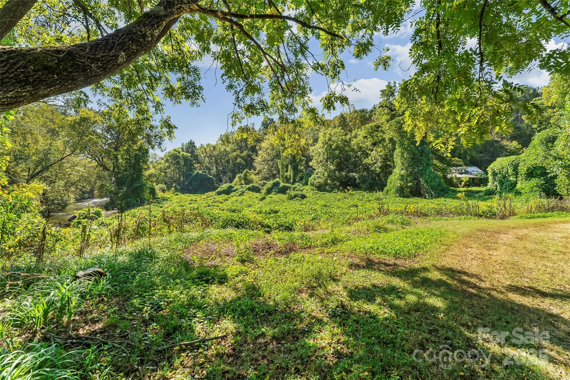 719 & 899 Mchone Drive - Photo 4