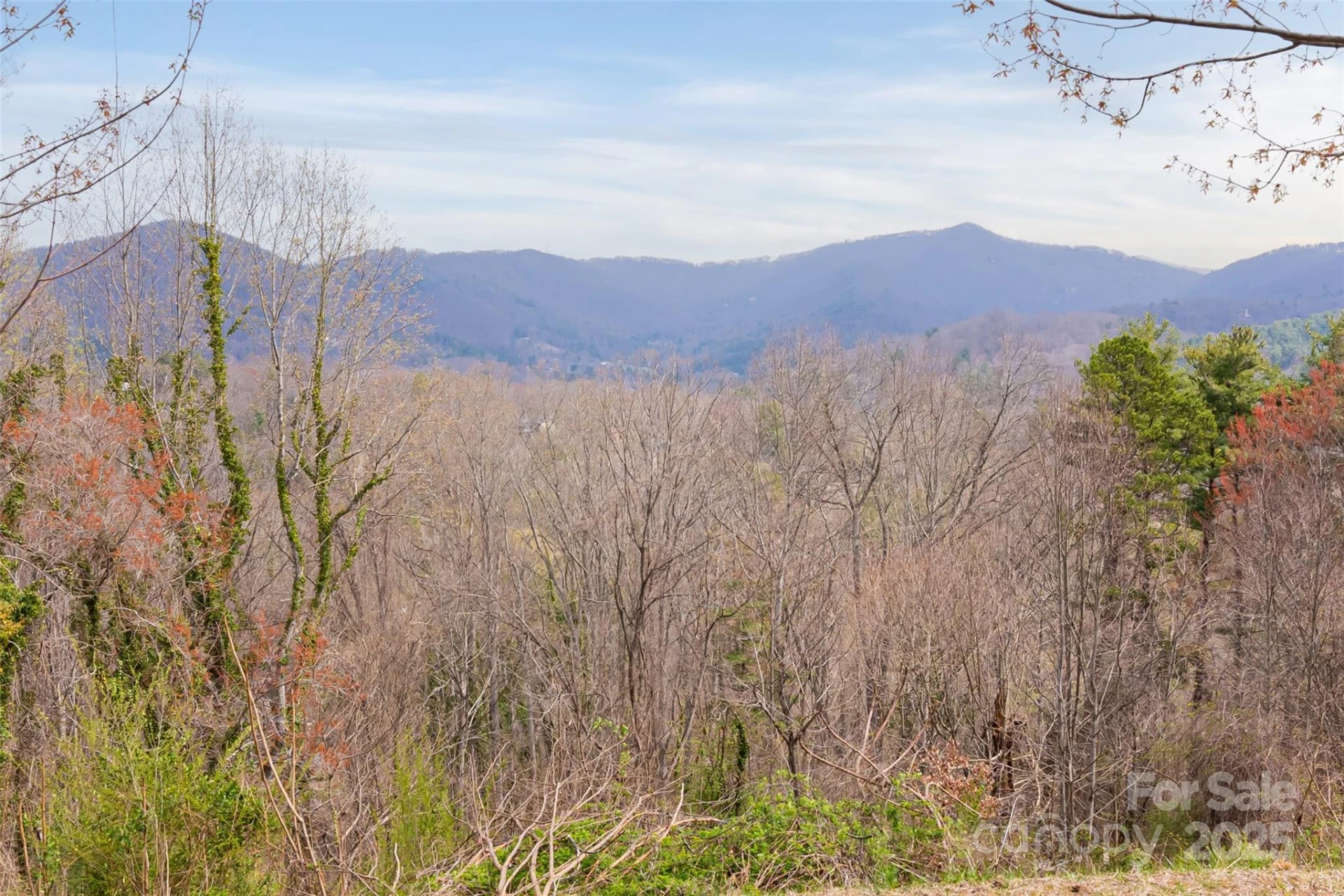 32 Grovepoint Way - Photo 2