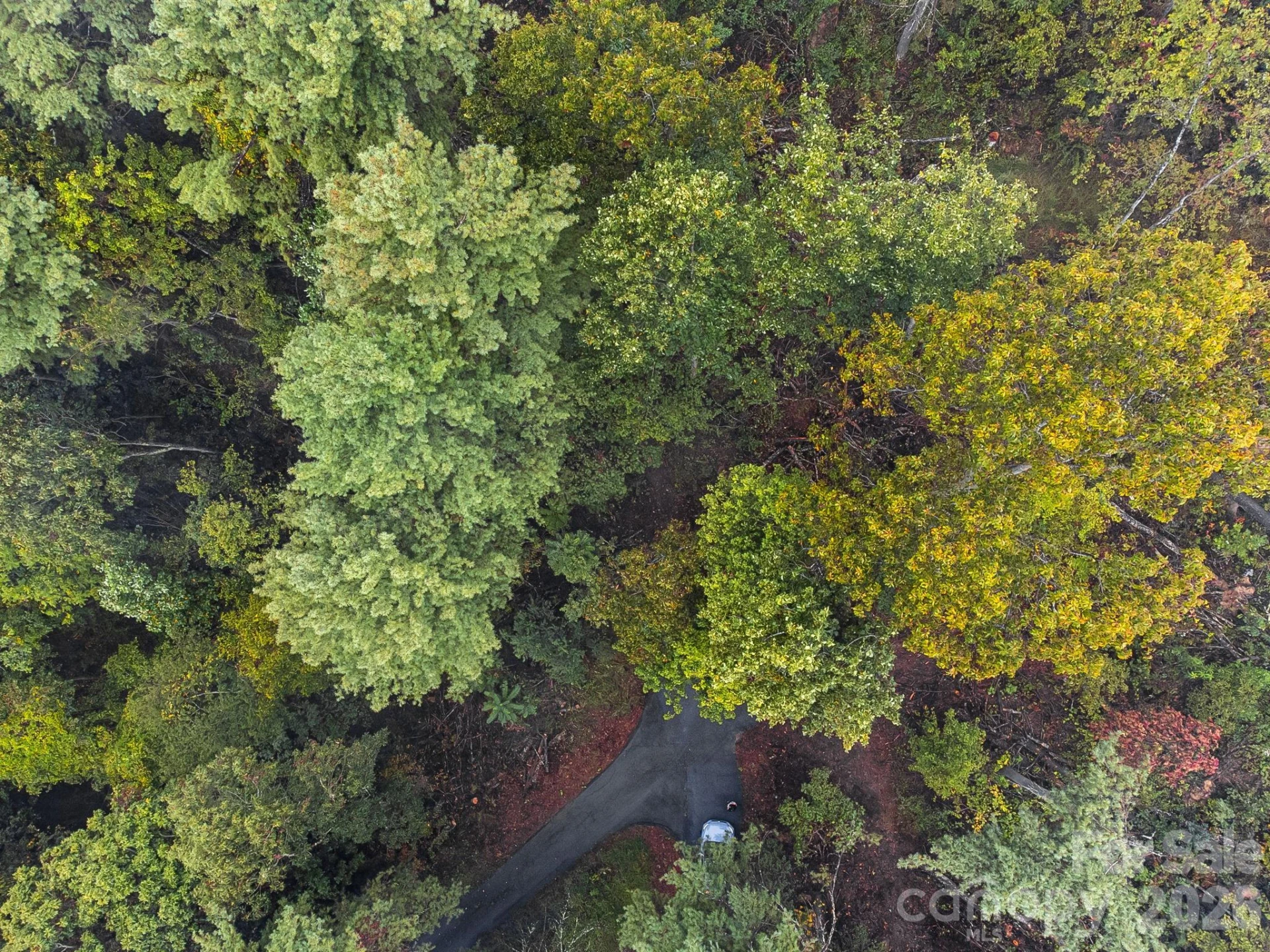 99999 Beaverbrook Road #2 - Photo 24