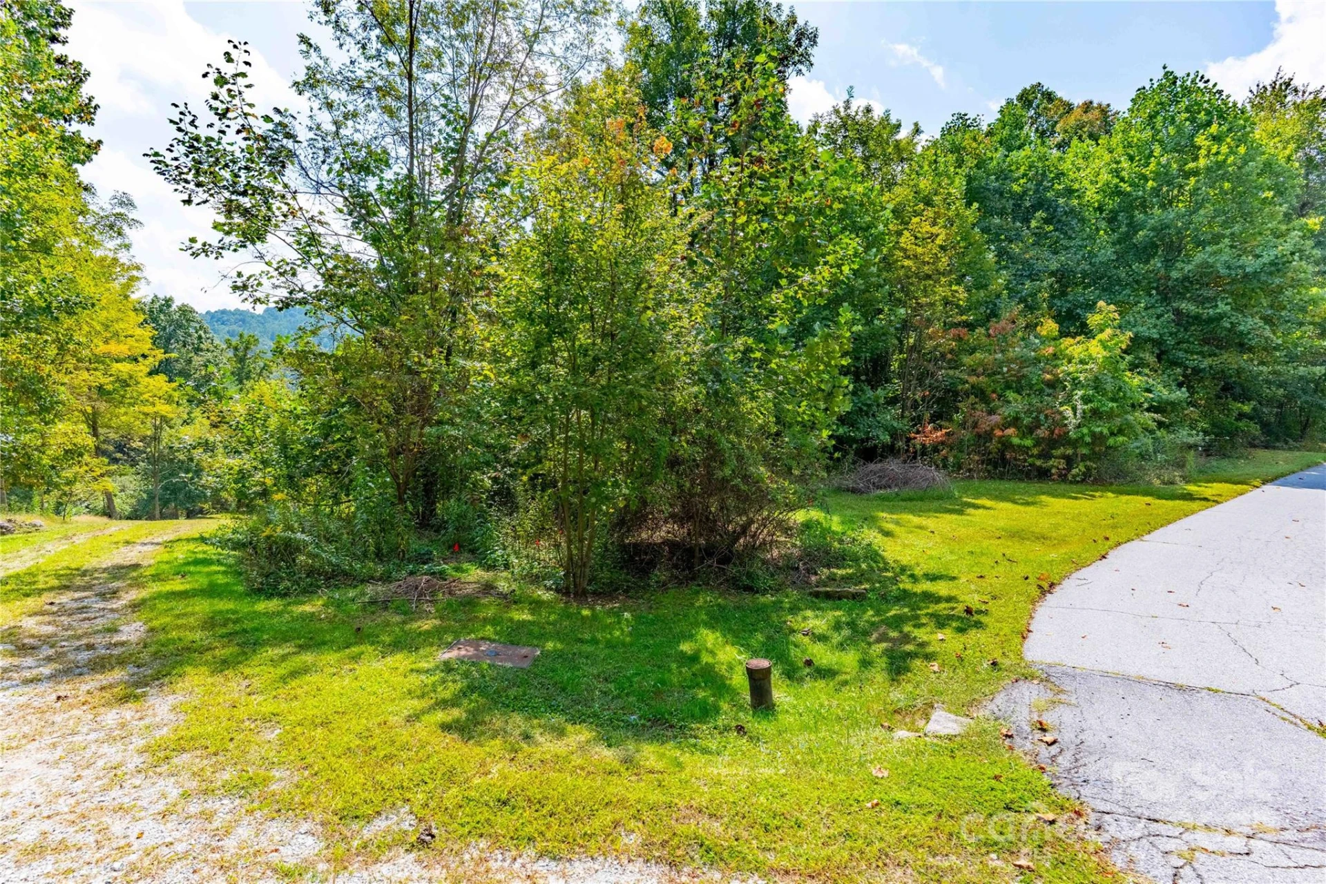 1043 Somersby Parkway - Photo 3