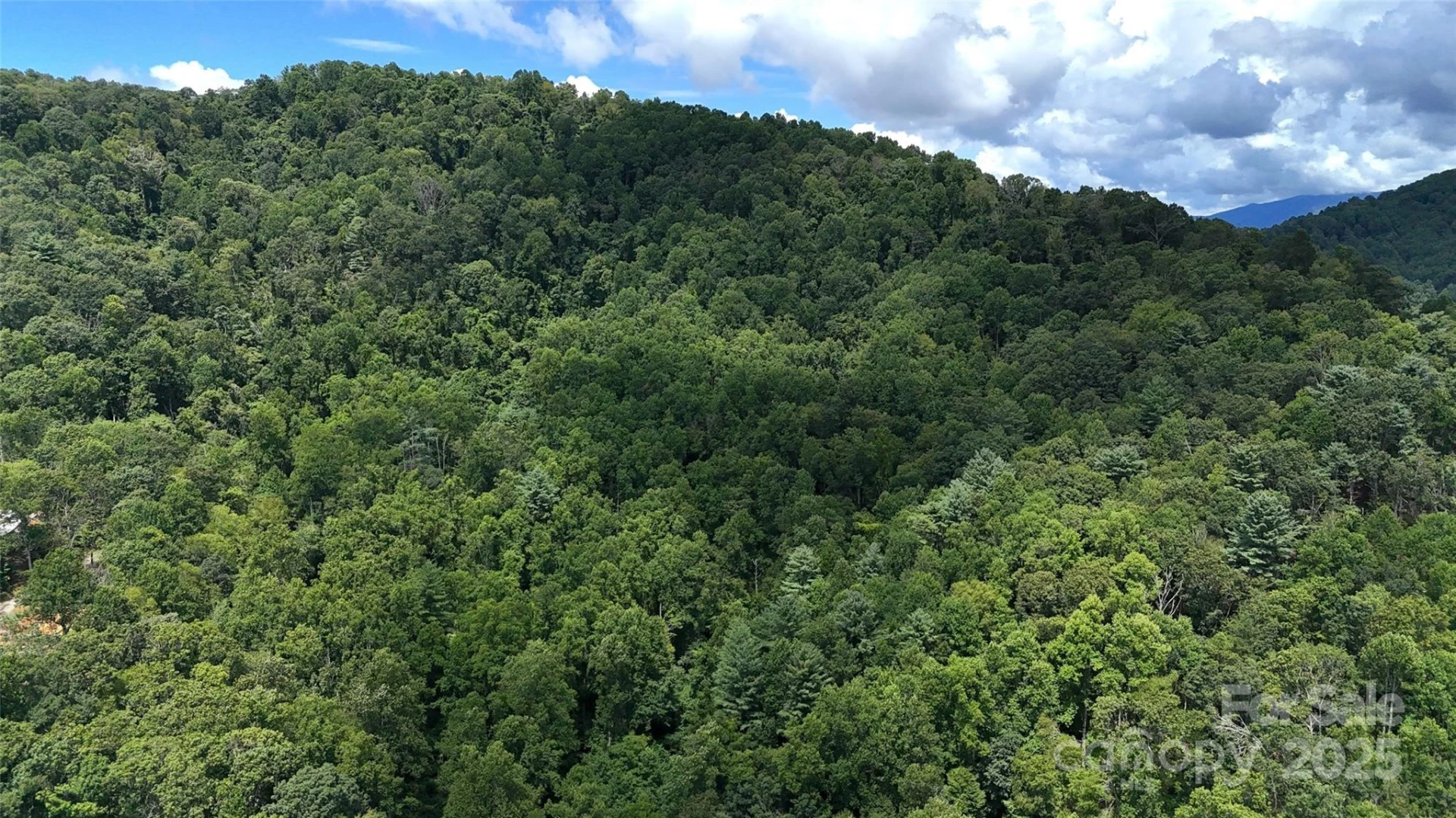 89 White Oak Gap Road - Photo 16