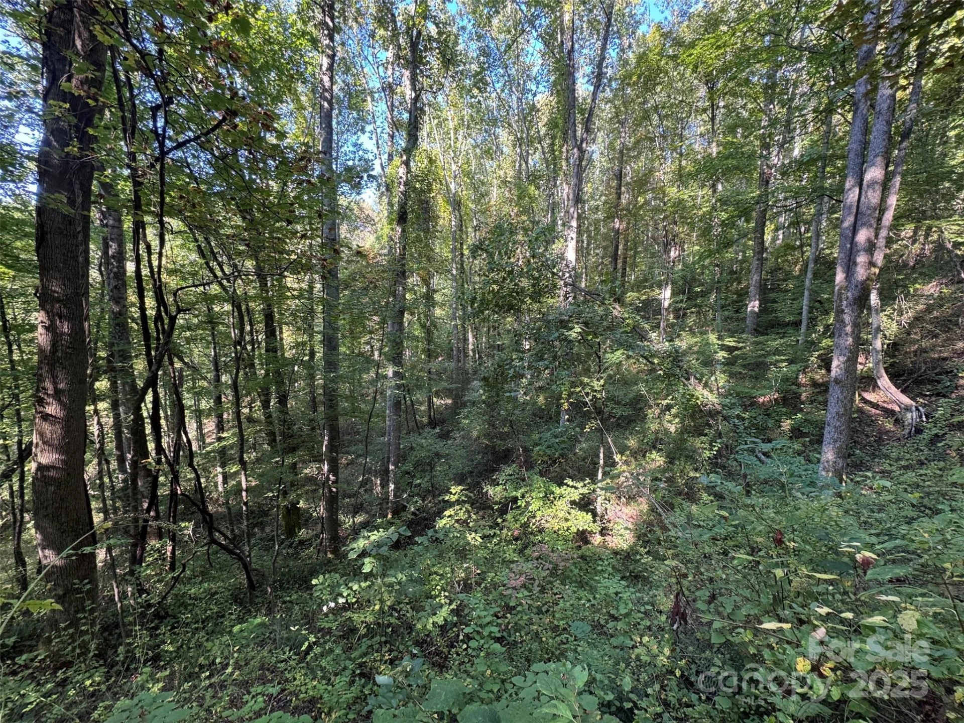 89 White Oak Gap Road - Photo 18