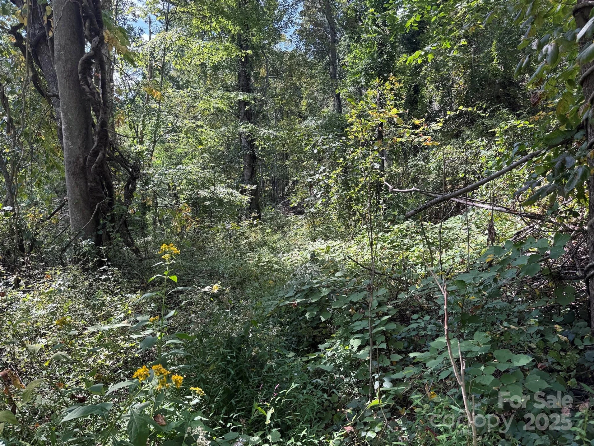 89 White Oak Gap Road - Photo 28