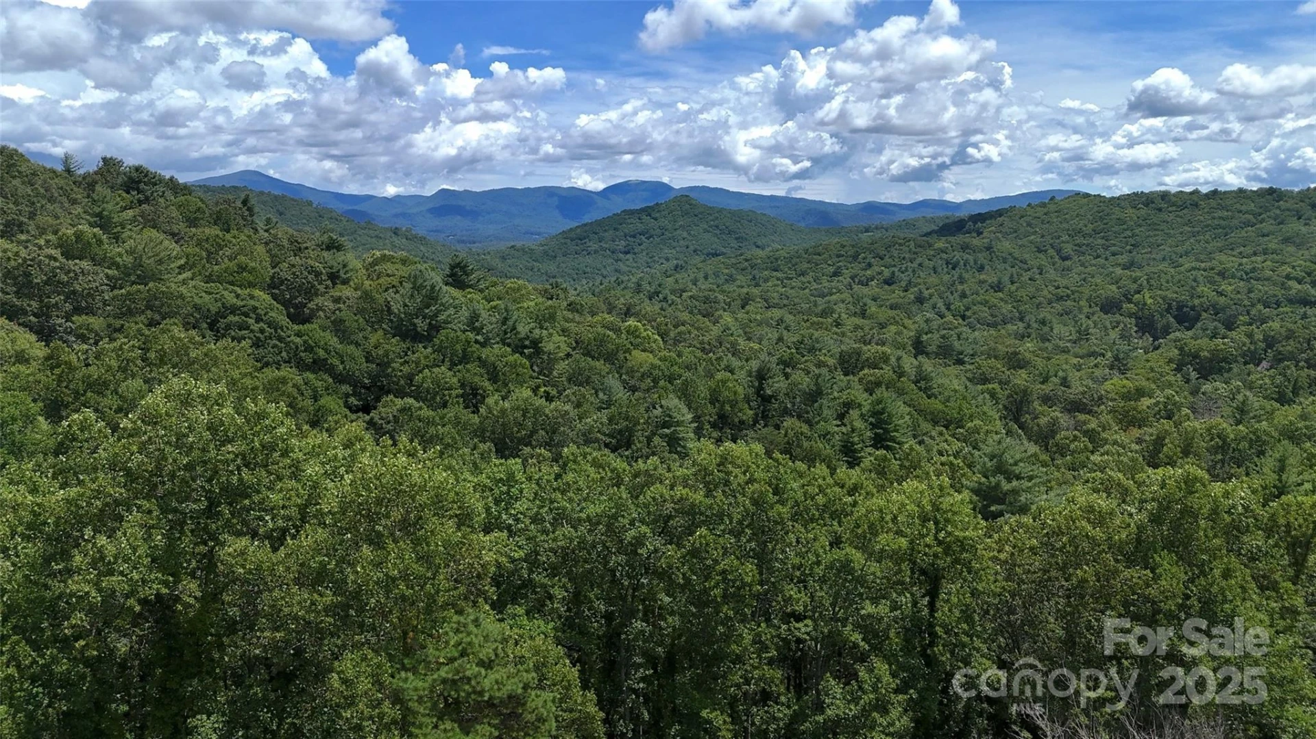 89 White Oak Gap Road - Photo 41