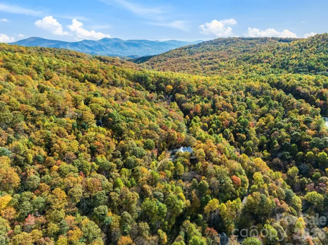 99999 Lytle Cove Road, Swannanoa, NC, 28778