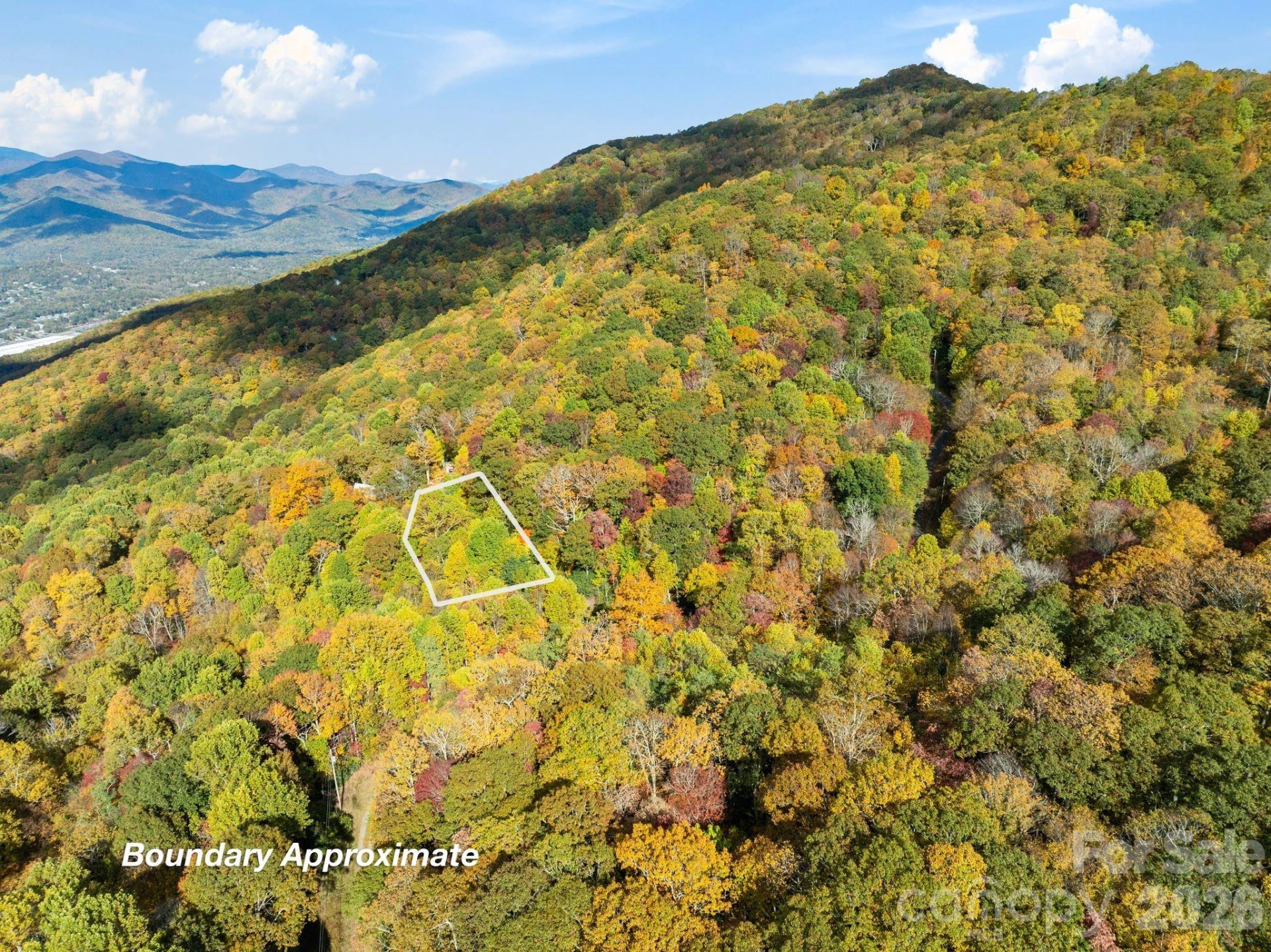 99999 Lytle Cove Road - Photo 2