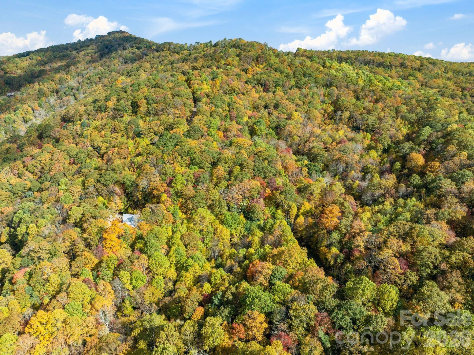 99999 Lytle Cove Road - Photo 17