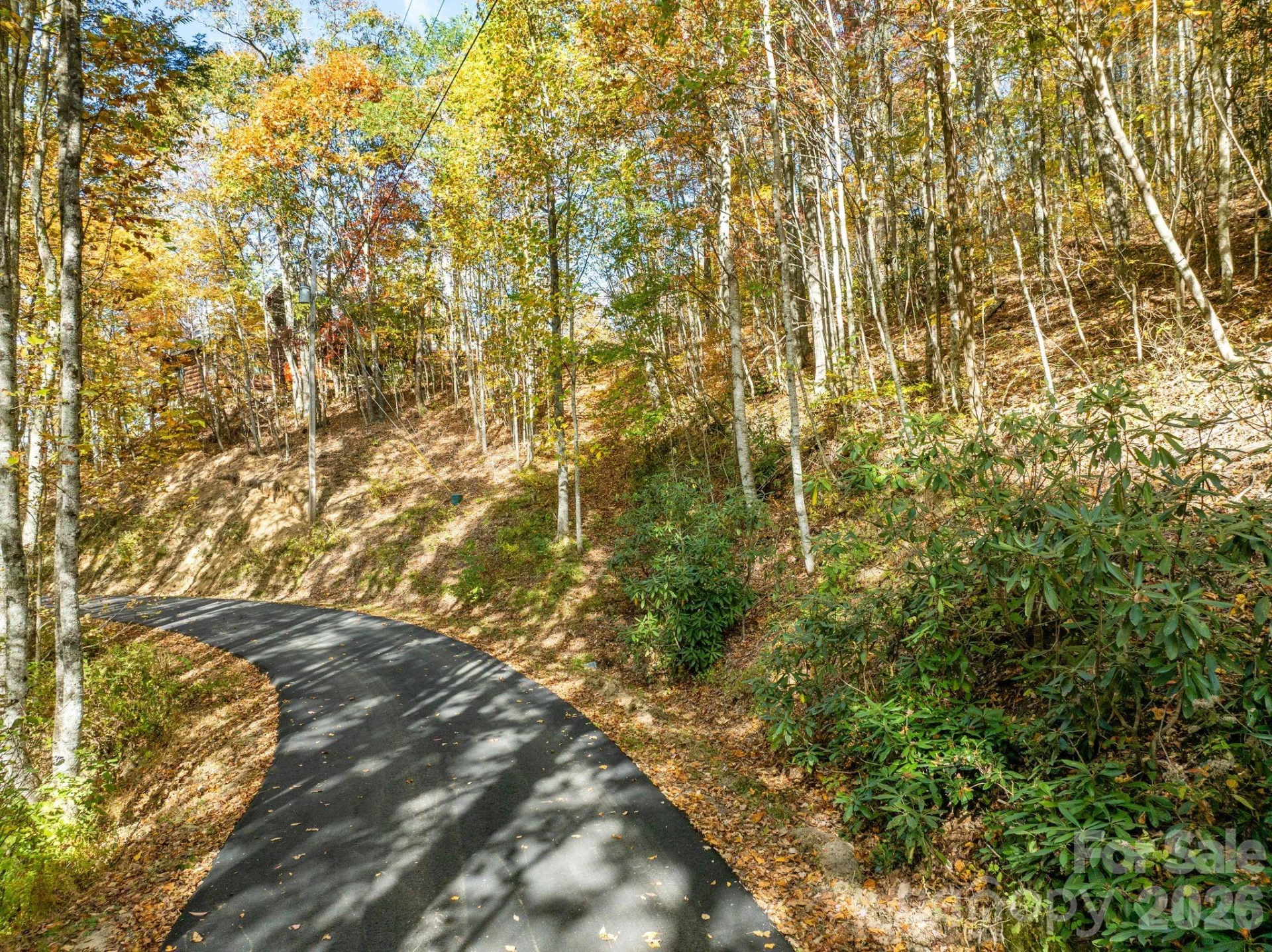 99999 Lytle Cove Road - Photo 3