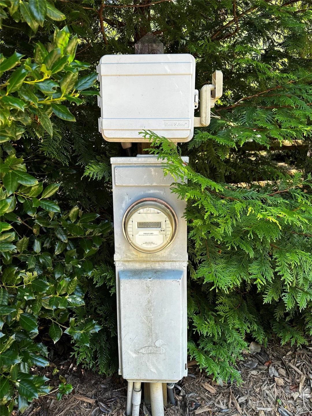 133 Cornell Circle - Photo 37