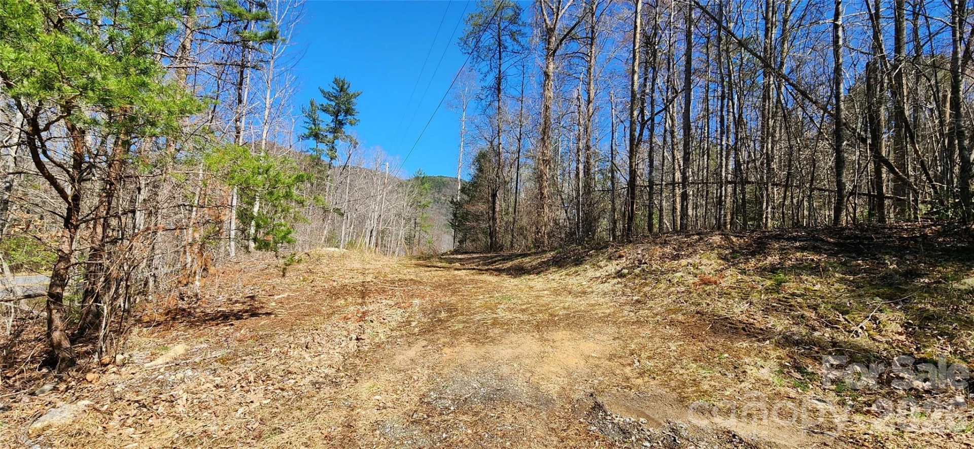 0 Buffalo Creek Road #74 - Photo 11
