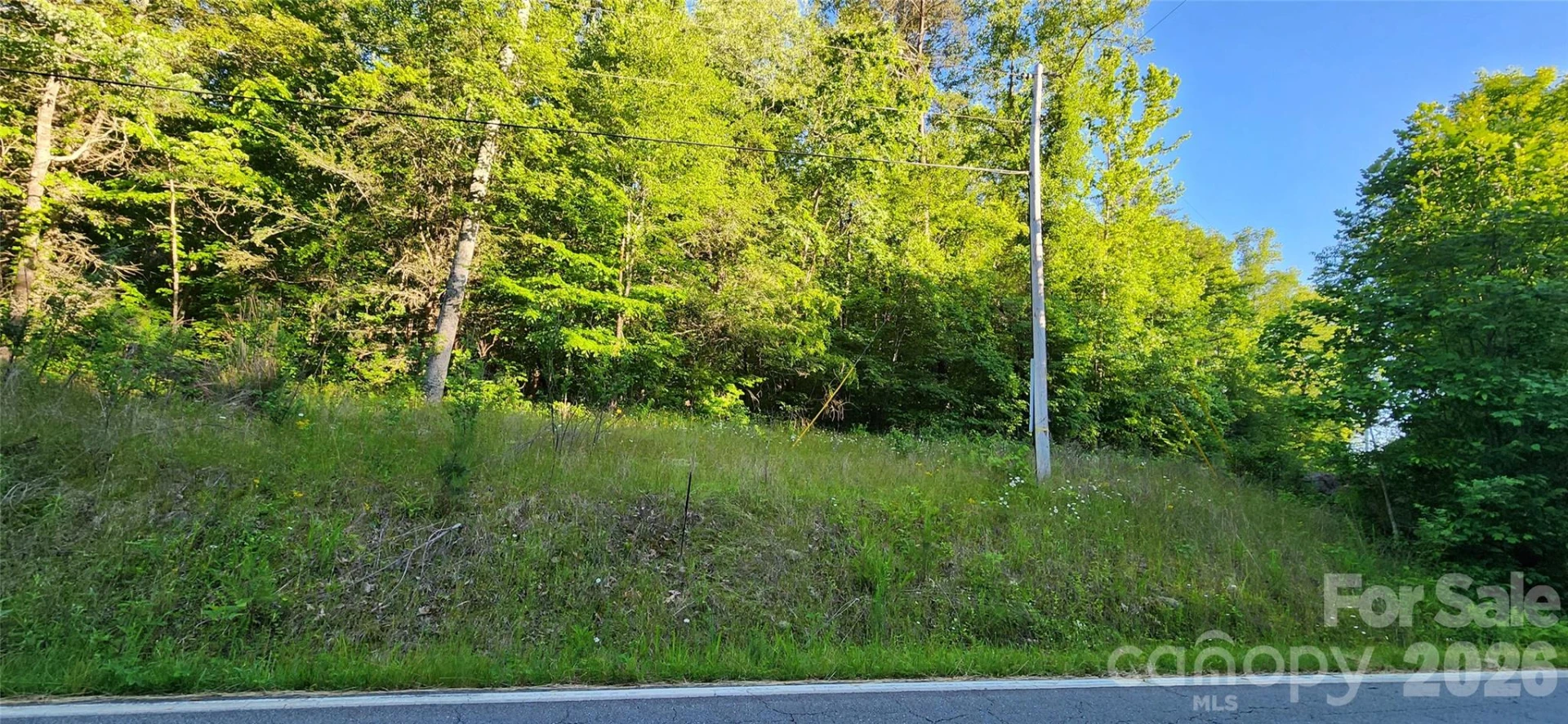 0 Buffalo Creek Road #74 - Photo 22