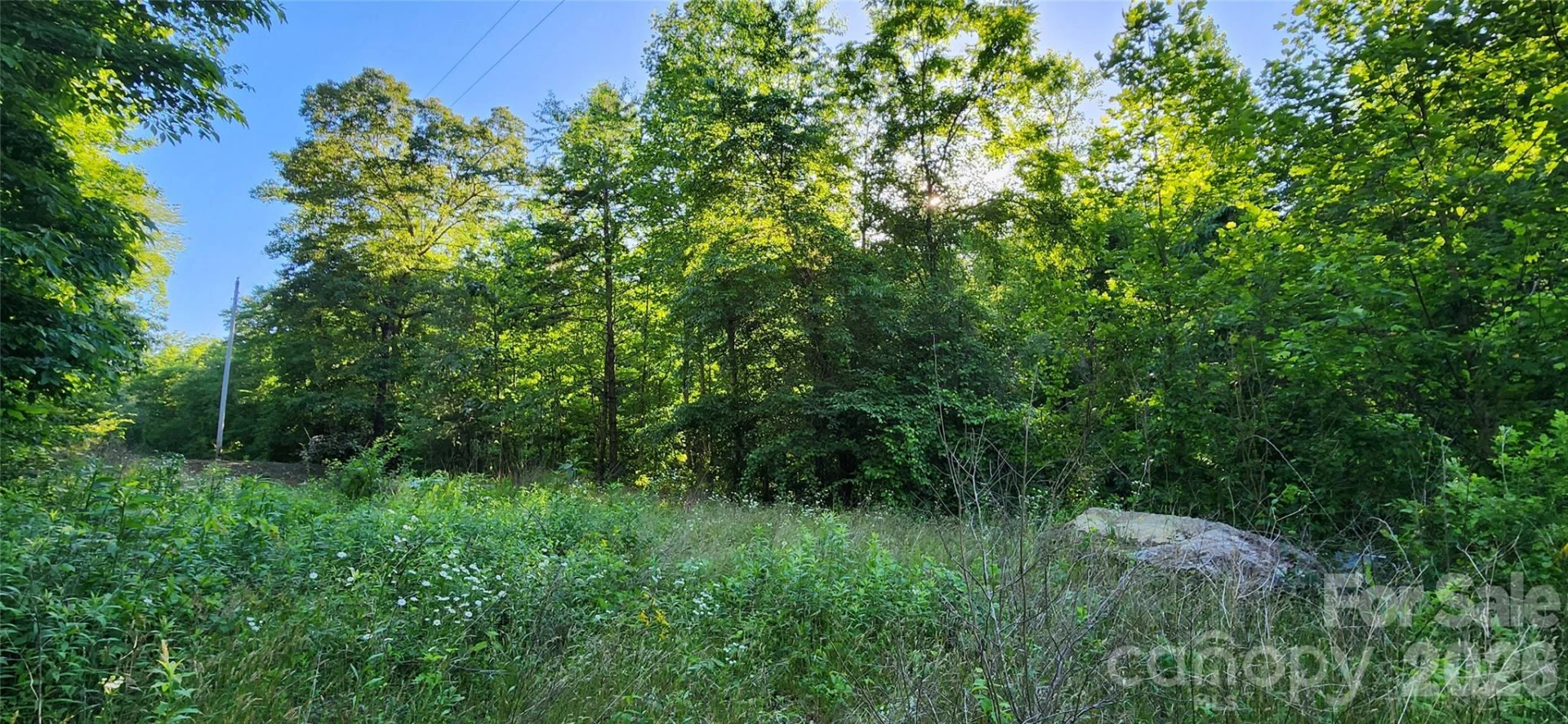 0 Buffalo Creek Road #74 - Photo 17