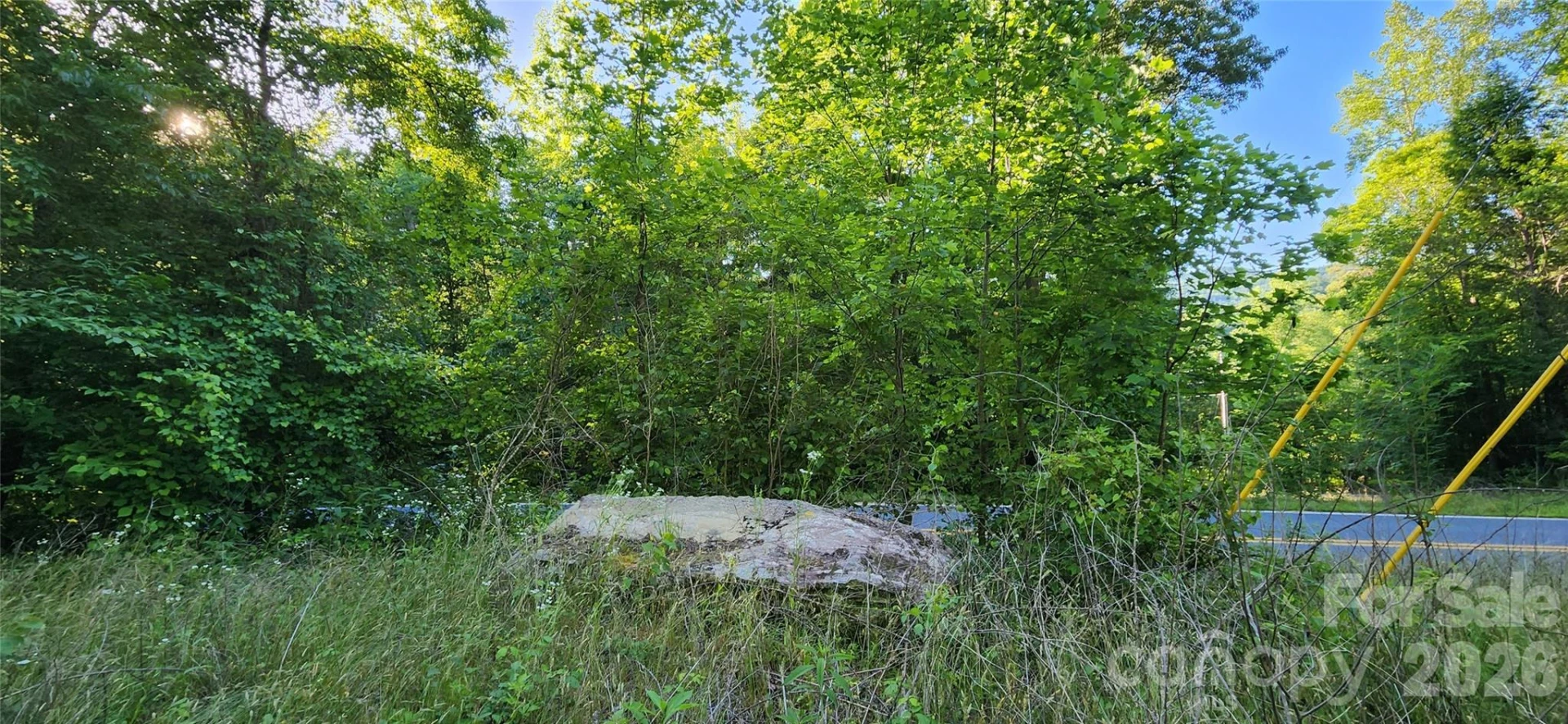 0 Buffalo Creek Road #74 - Photo 10
